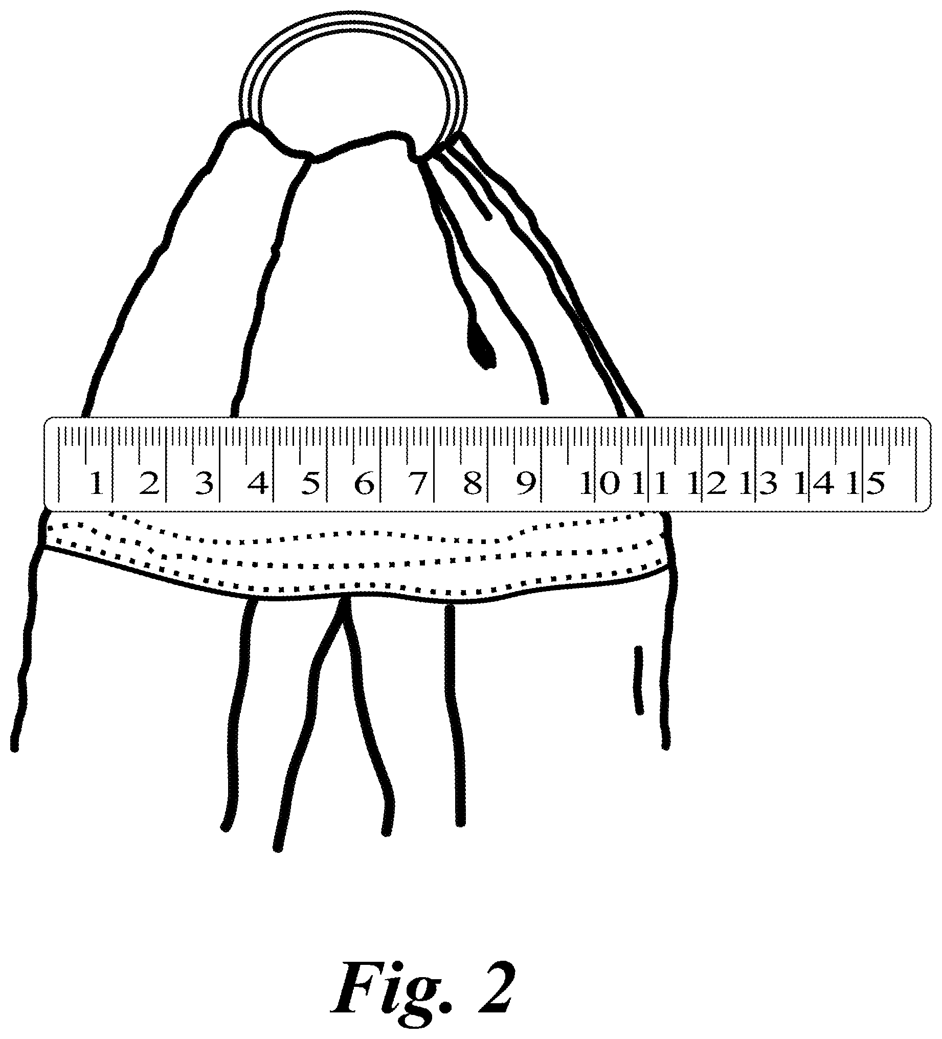 Patent US12102239 Figure 2 – Baby sling