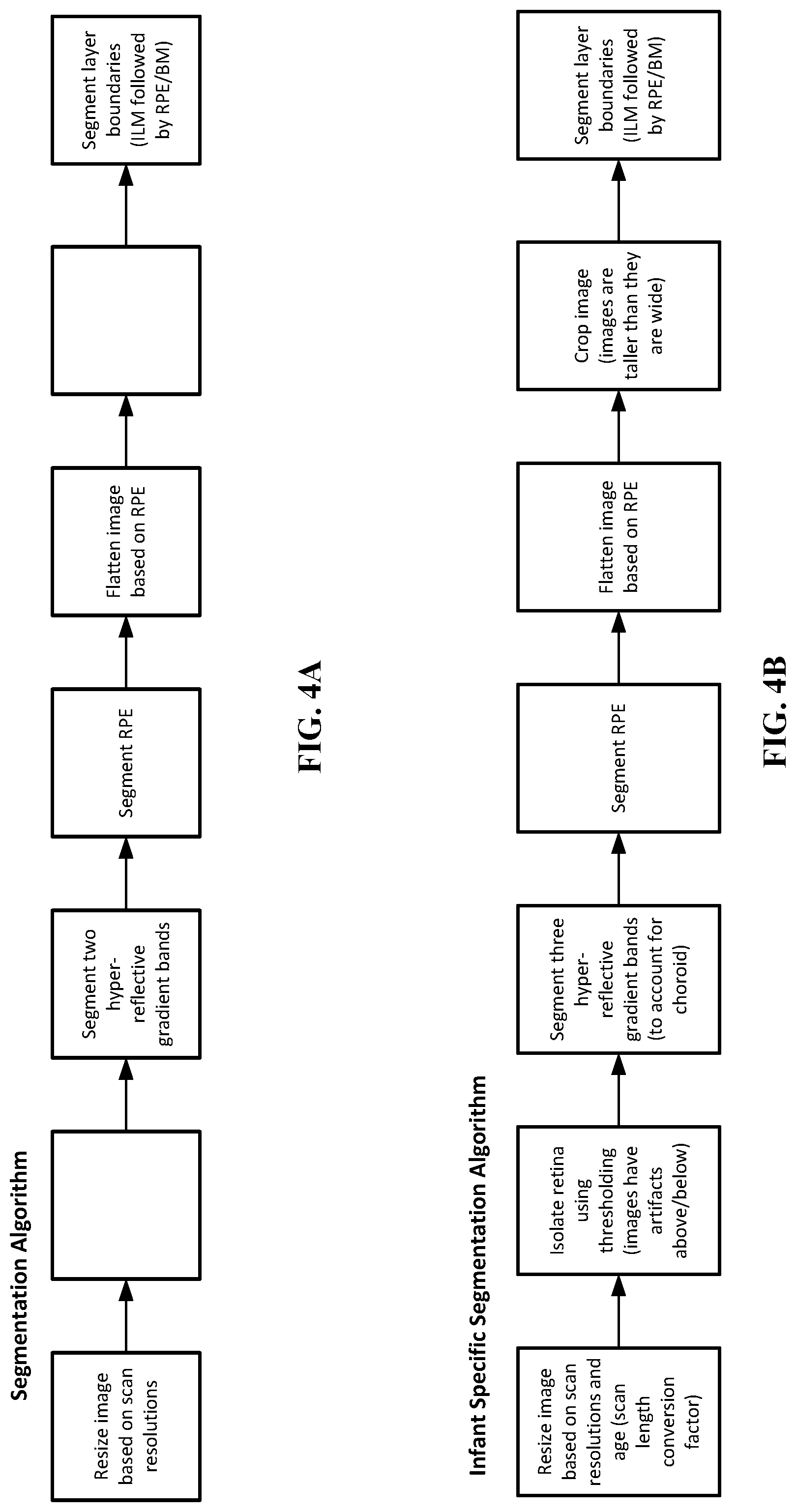 Patent US12102389 Figure 4 – En face retinal vessel shadow view optical coherence tomography images