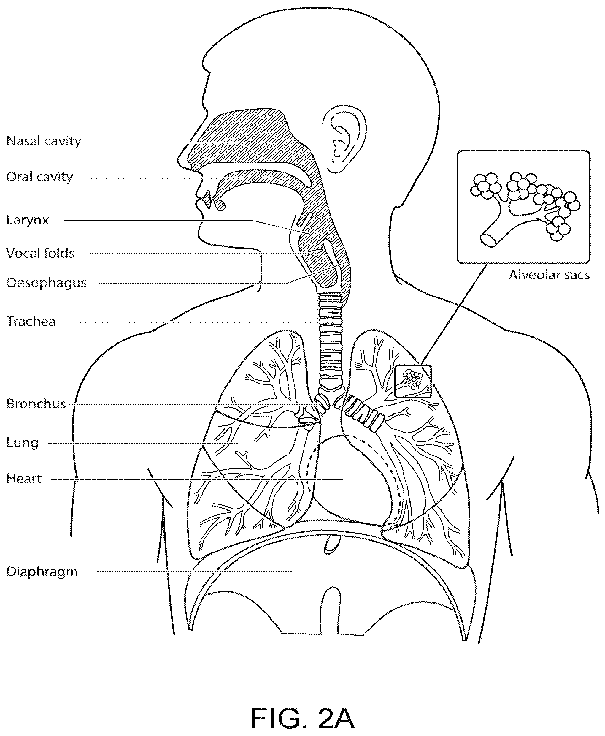 Patent US12102444 Figure 4 – Systems and methods for image monitoring