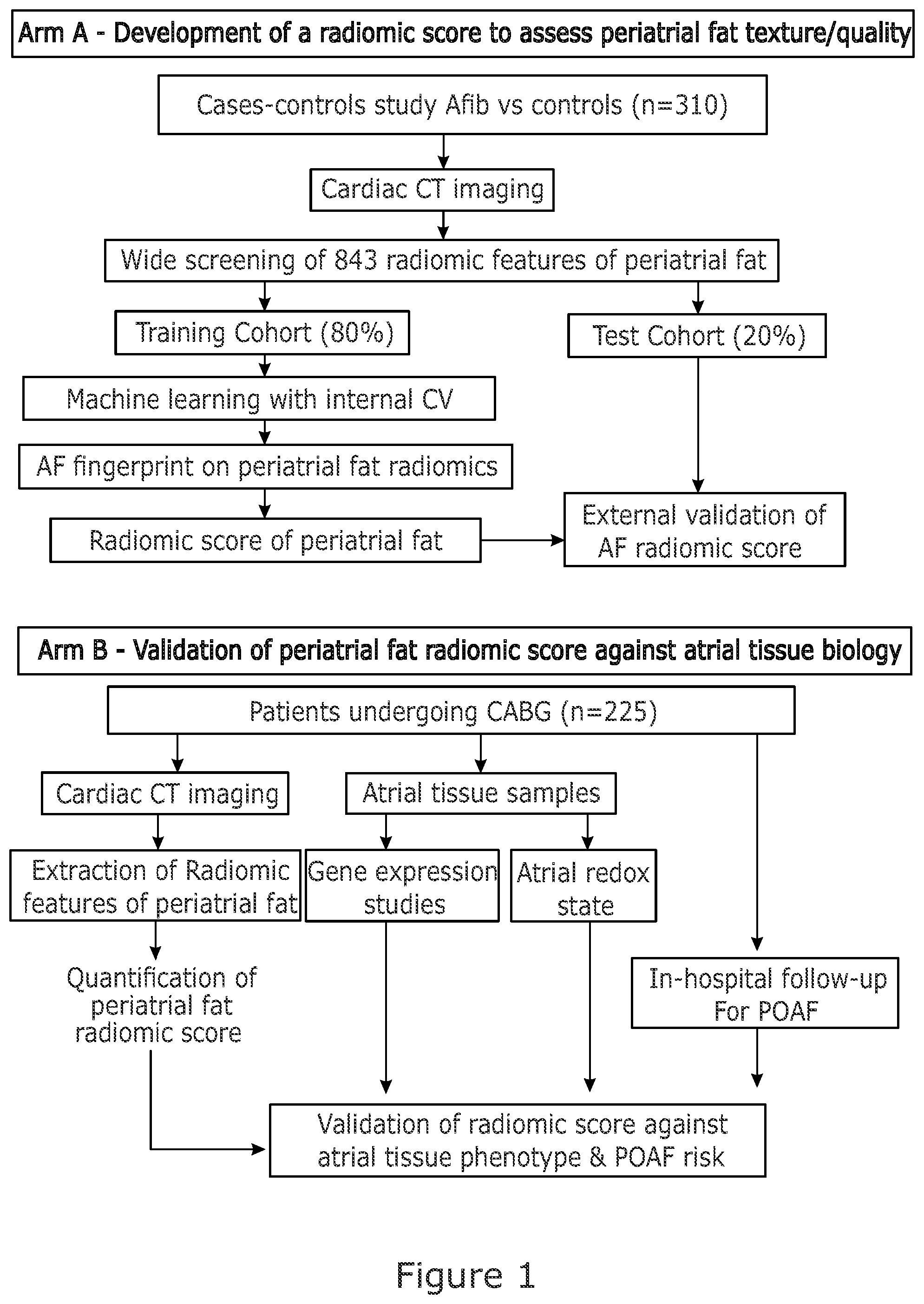 Patent US12102463 Figure 1 – Radiomic signature of an epicardial region