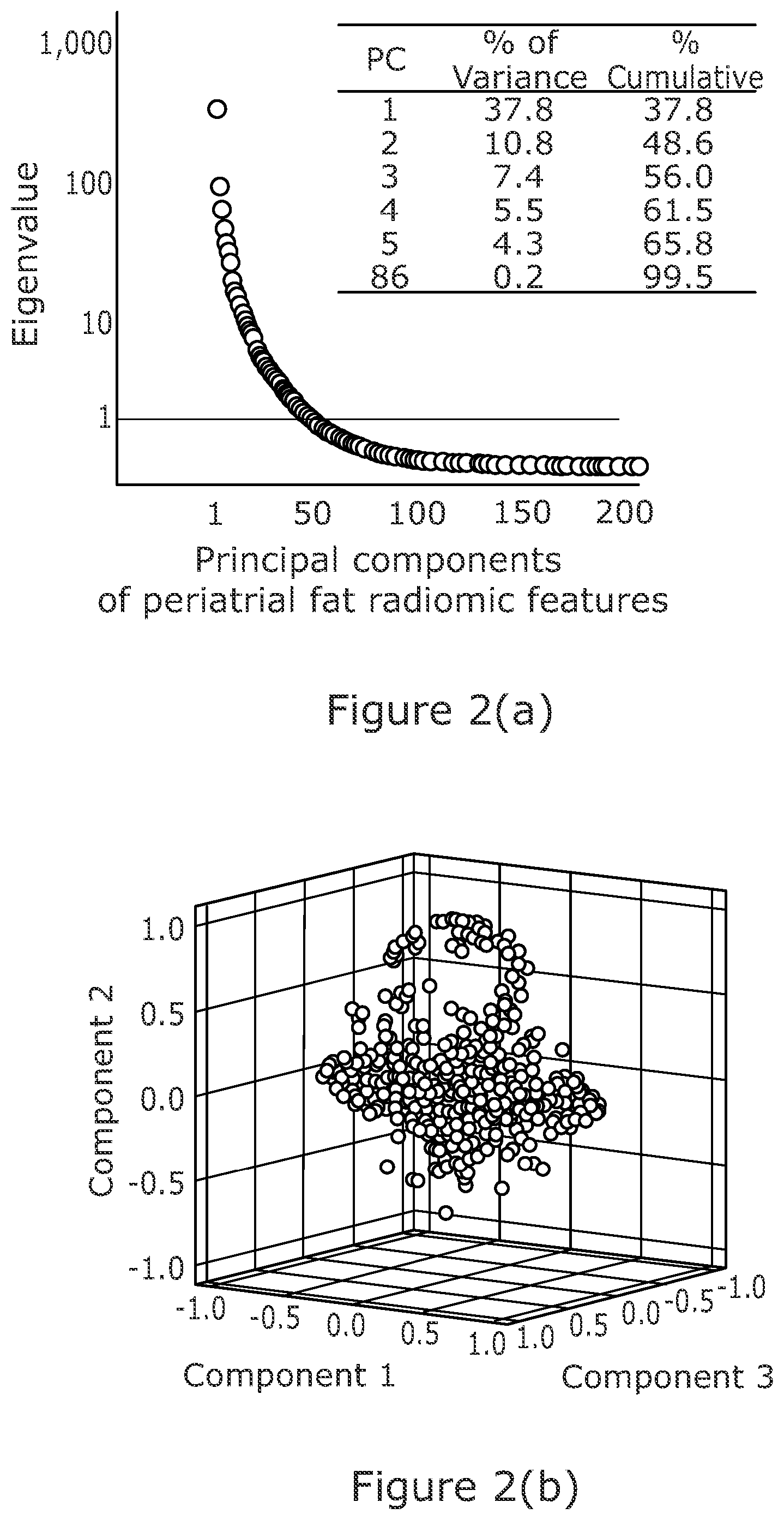 Patent US12102463 Figure 2 – Radiomic signature of an epicardial region