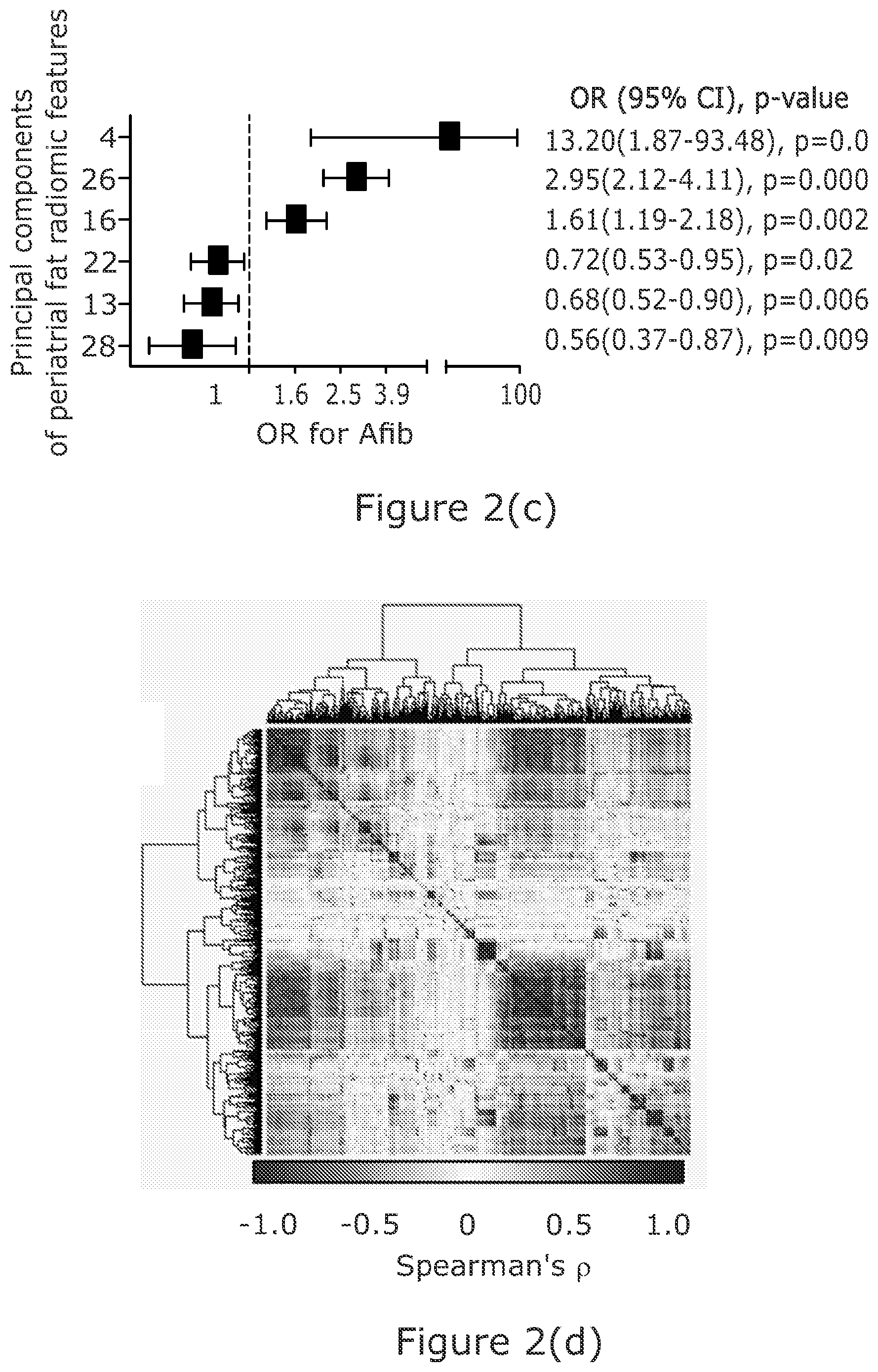 Patent US12102463 Figure 3 – Radiomic signature of an epicardial region