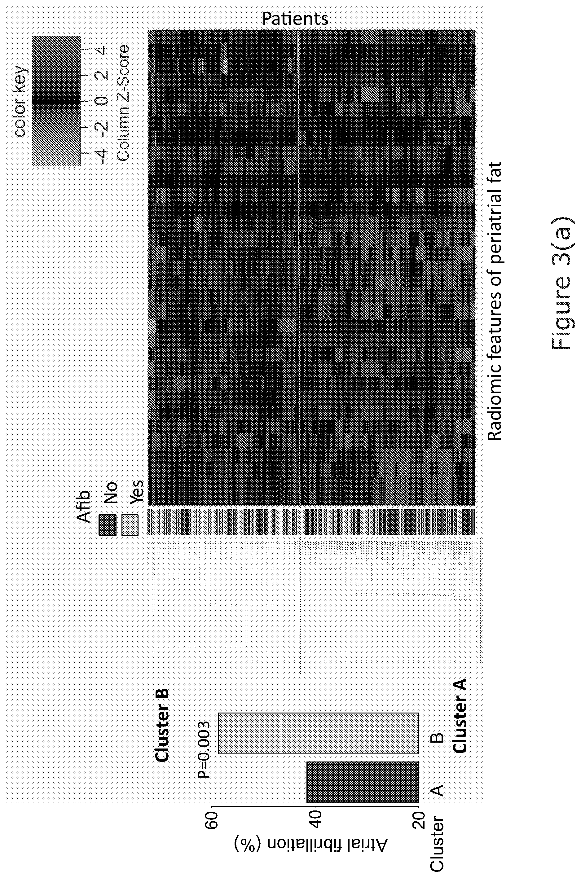 Patent US12102463 Figure 5 – Radiomic signature of an epicardial region