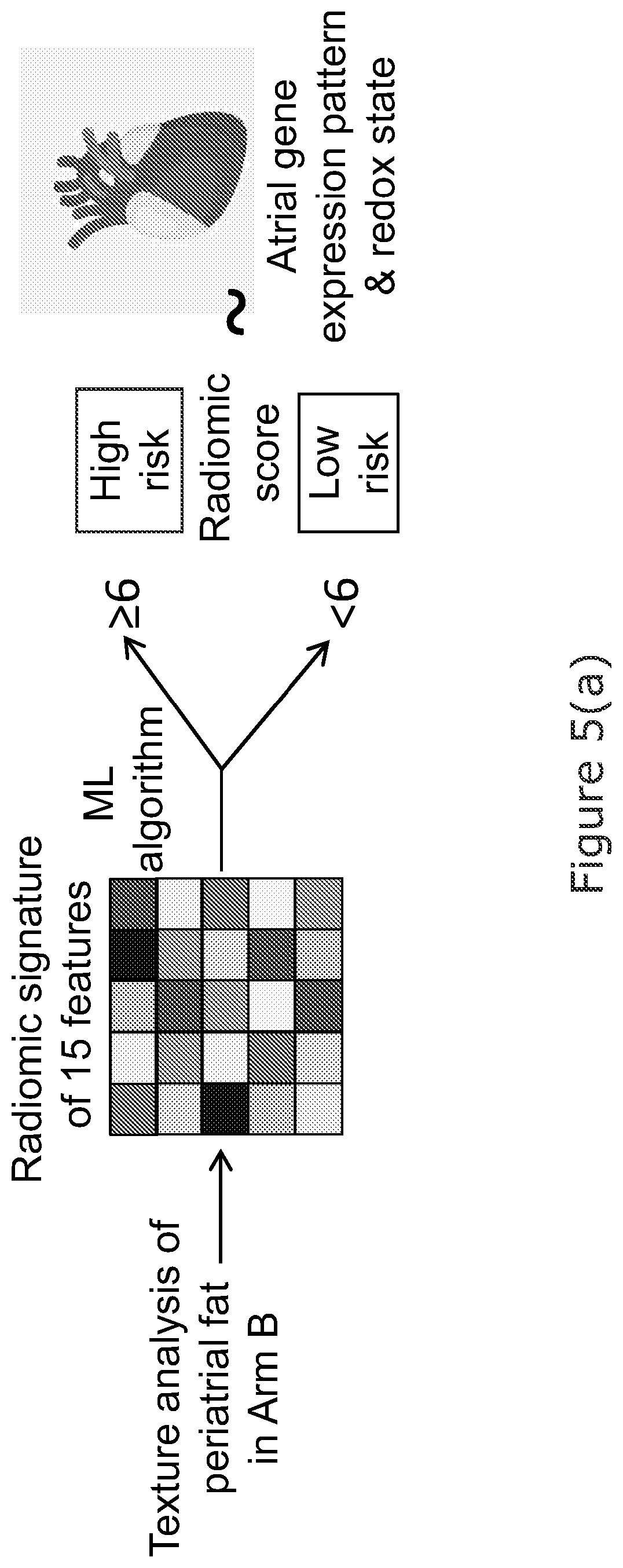 Patent US12102463 Figure 9 – Radiomic signature of an epicardial region