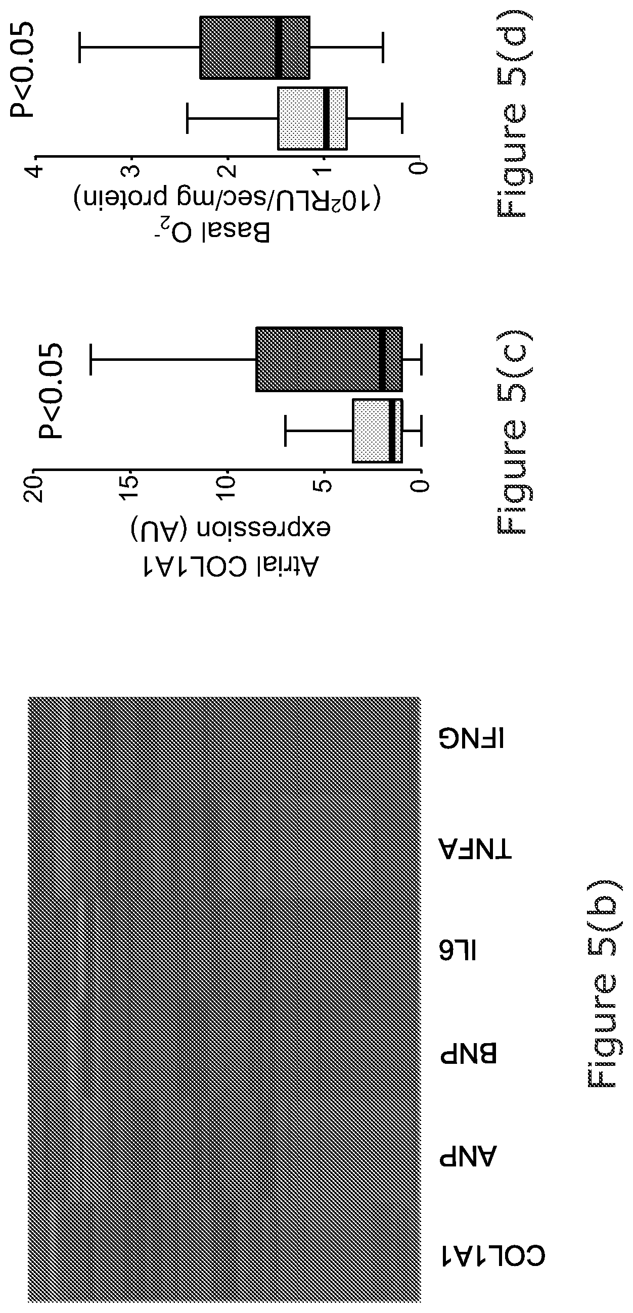 Patent US12102463 Figure 10 – Radiomic signature of an epicardial region