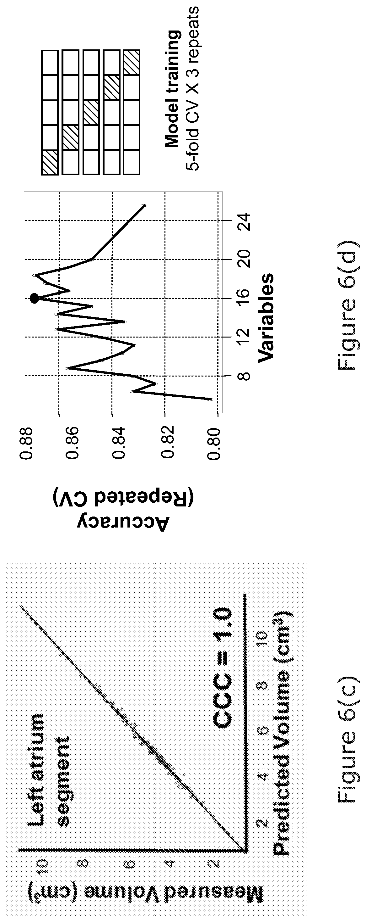 Patent US12102463 Figure 13 – Radiomic signature of an epicardial region