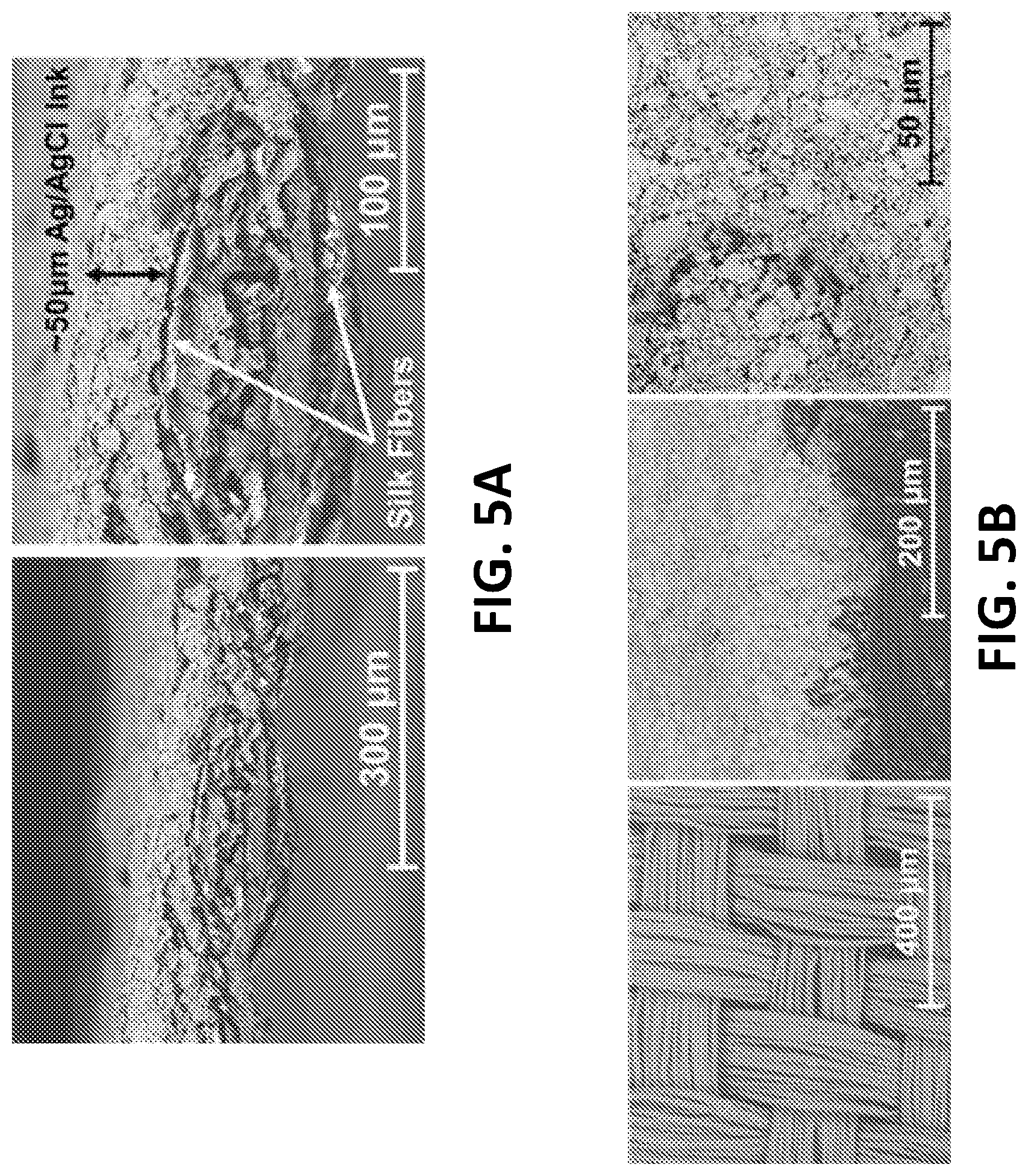 Patent US12102508 Figure 8 – Antimicrobial wound care dressing