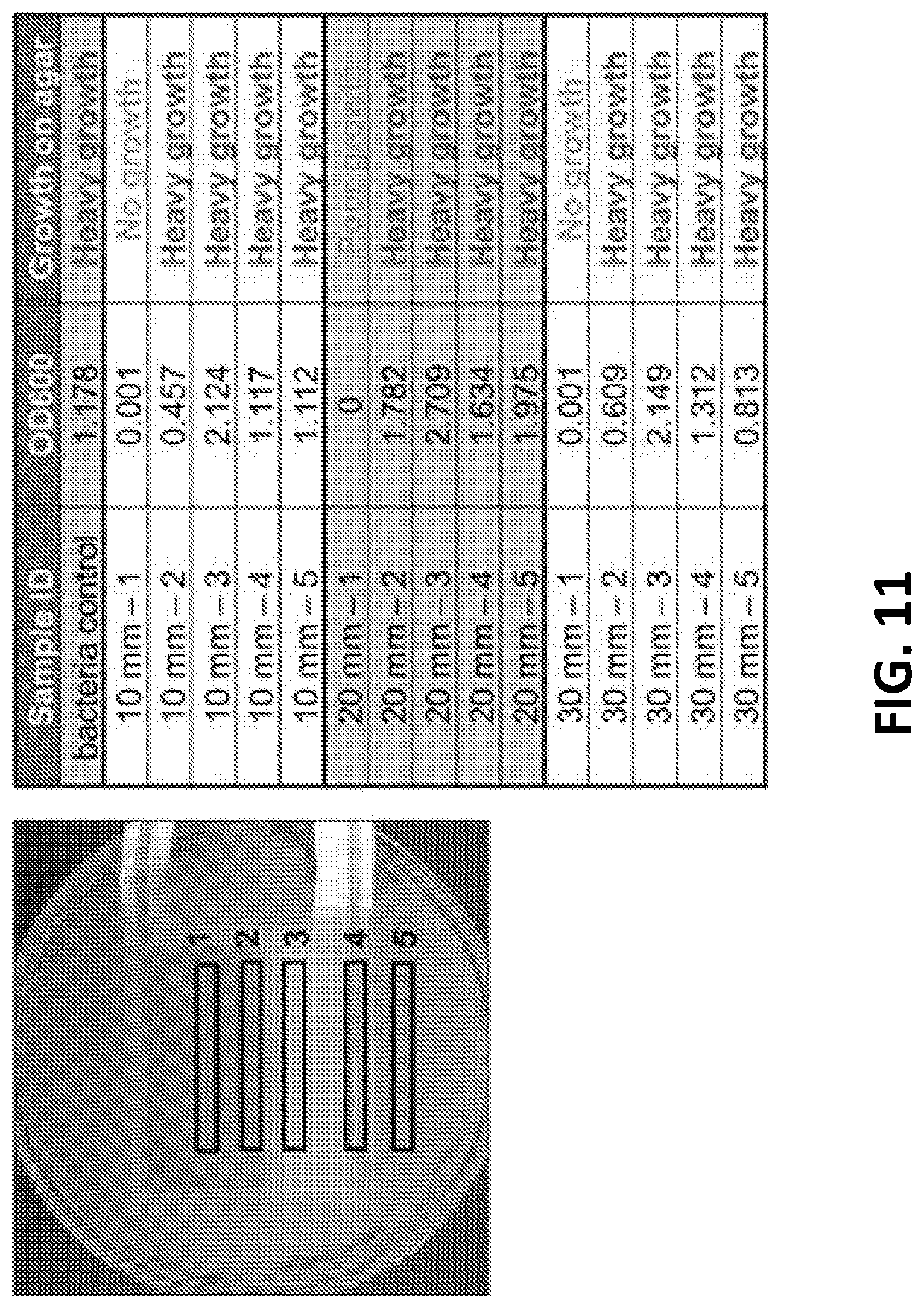 Patent US12102508 Figure 14 – Antimicrobial wound care dressing