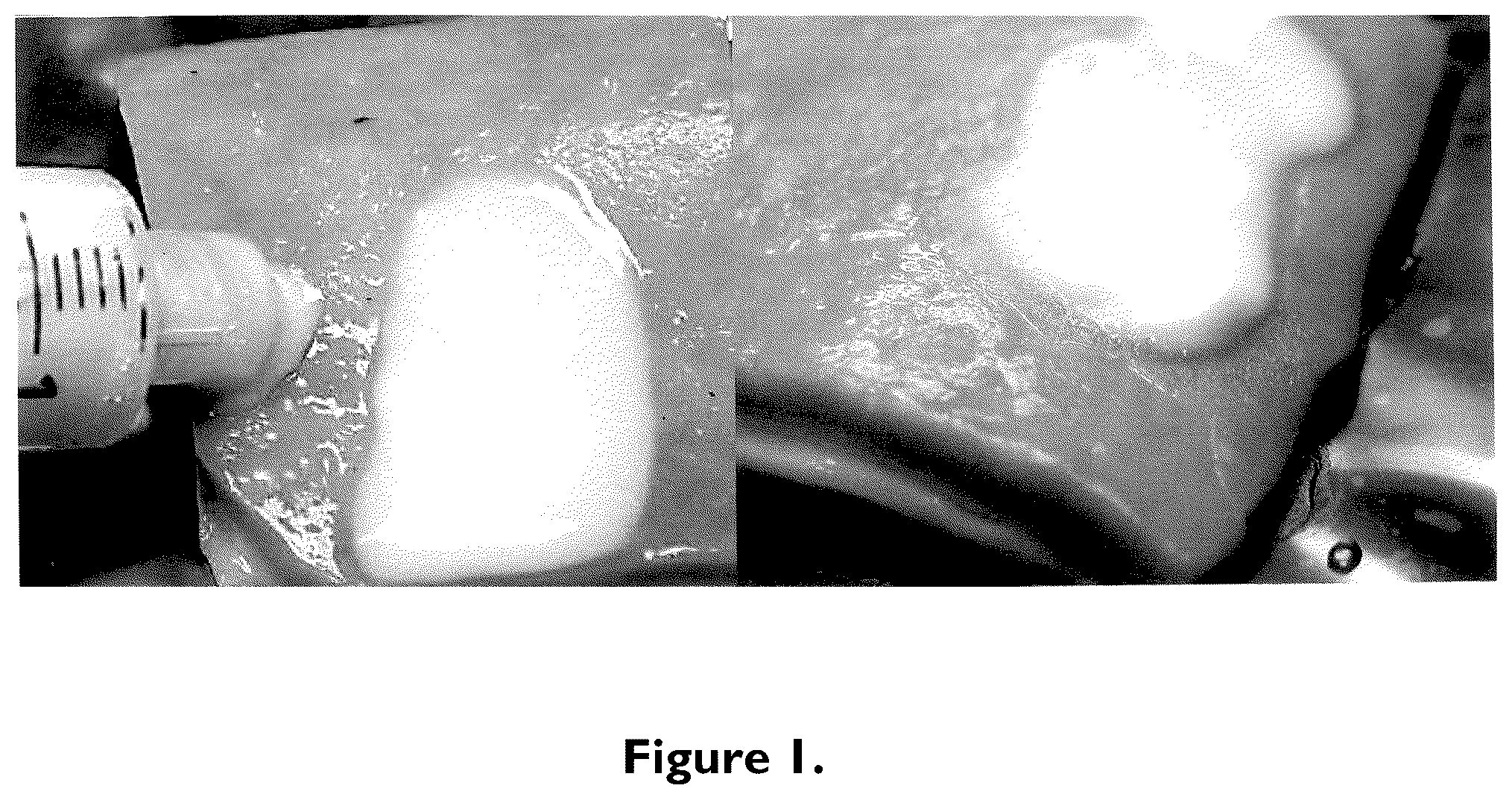 Patent US12102510 Figure 1 – Bimodal treatment methods and compositions for gastrointestinal lesions with active bleeding