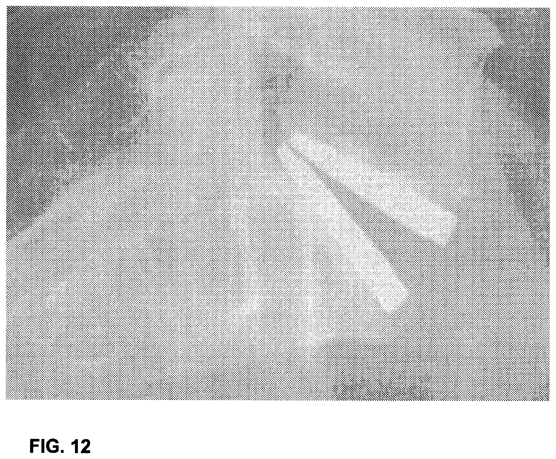 Patent US12102544 Figure 14 – Bio-mechanically compatible 3D-printed intervertebral disk