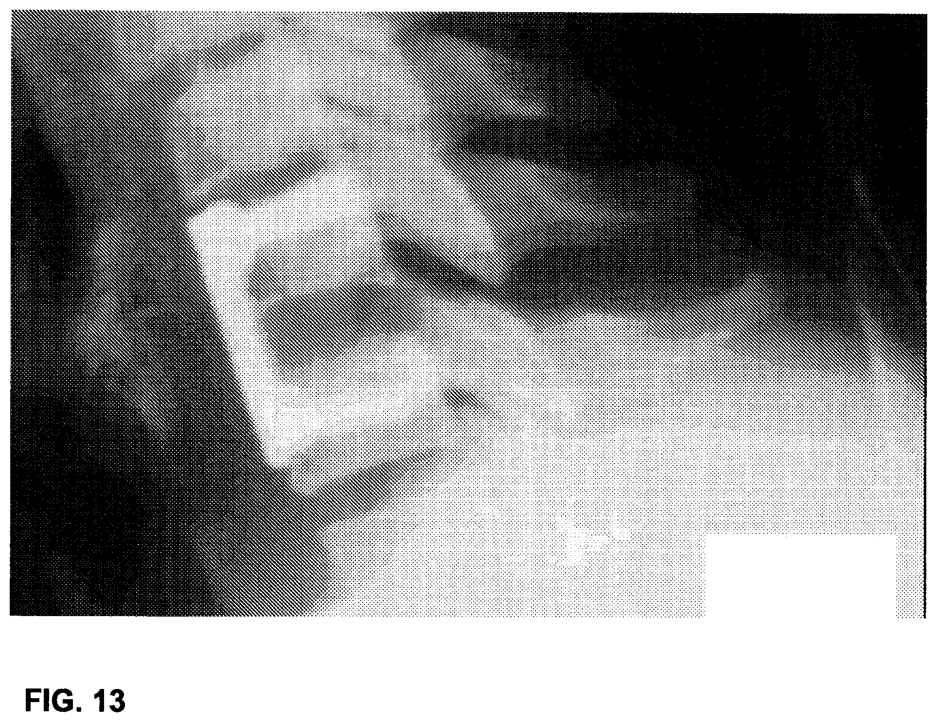 Patent US12102544 Figure 15 – Bio-mechanically compatible 3D-printed intervertebral disk