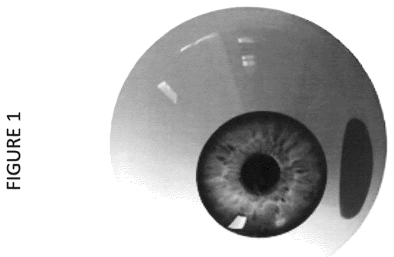 Patent US12102559 Figure 1 – Dissolvable polymeric eye inserts and method of using same