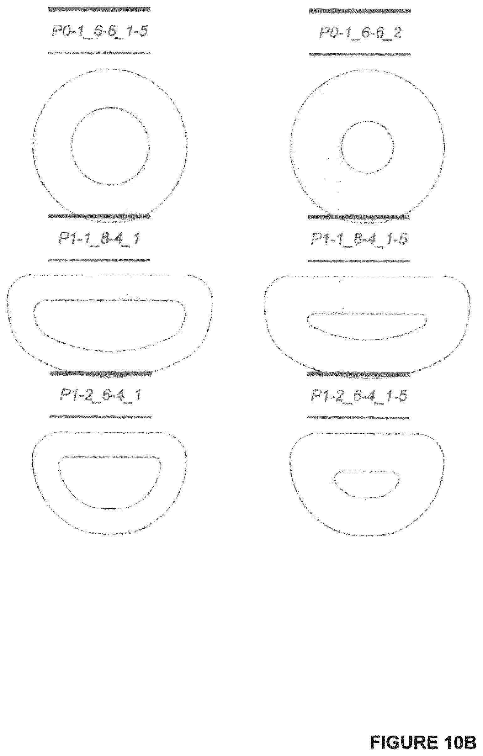 Patent US12102559 Figure 19 – Dissolvable polymeric eye inserts and method of using same