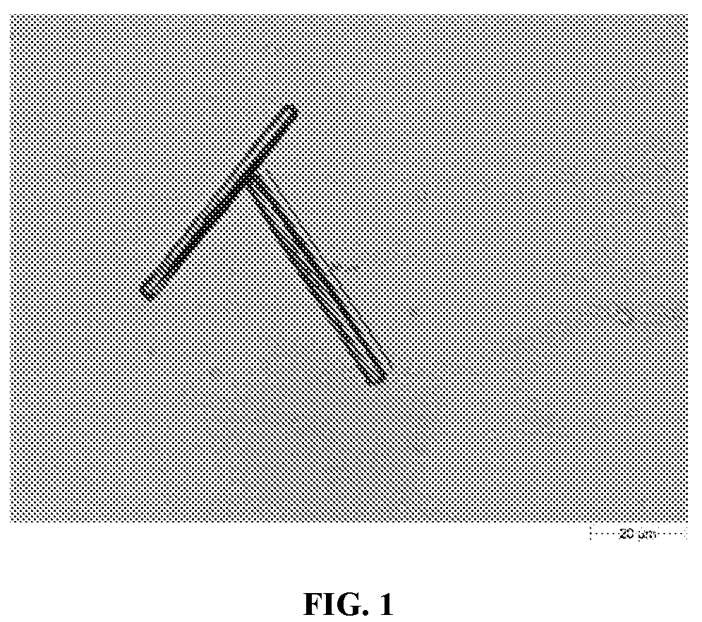 Patent US12102594 Figure 1 – Infusion bag of Midazolam for intravenous use