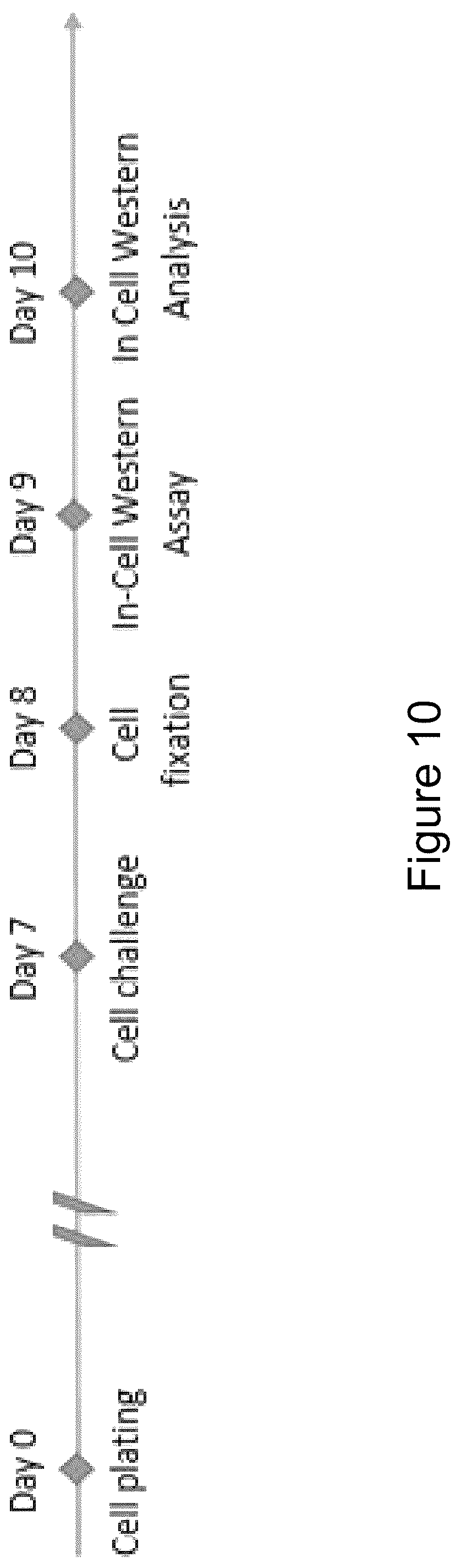 Patent US12102607 Figure 12 – C5aR inhibitors for use in the treatment of chemotherapy-induced iatrogenic pain