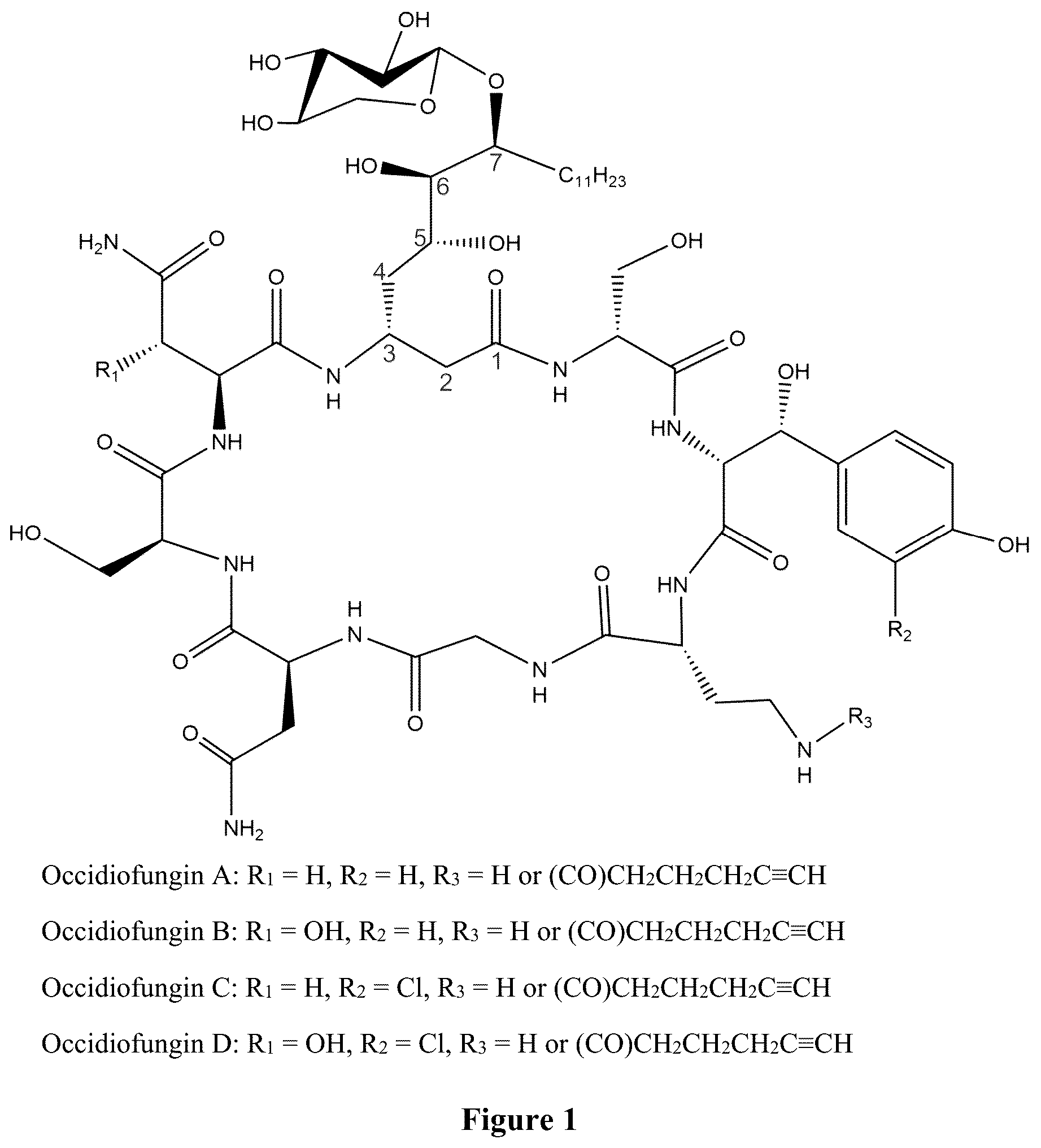 Patent US12102615 Figure 1 – Synthesis of novel xylose free occidiofungin analogues and methods of using them