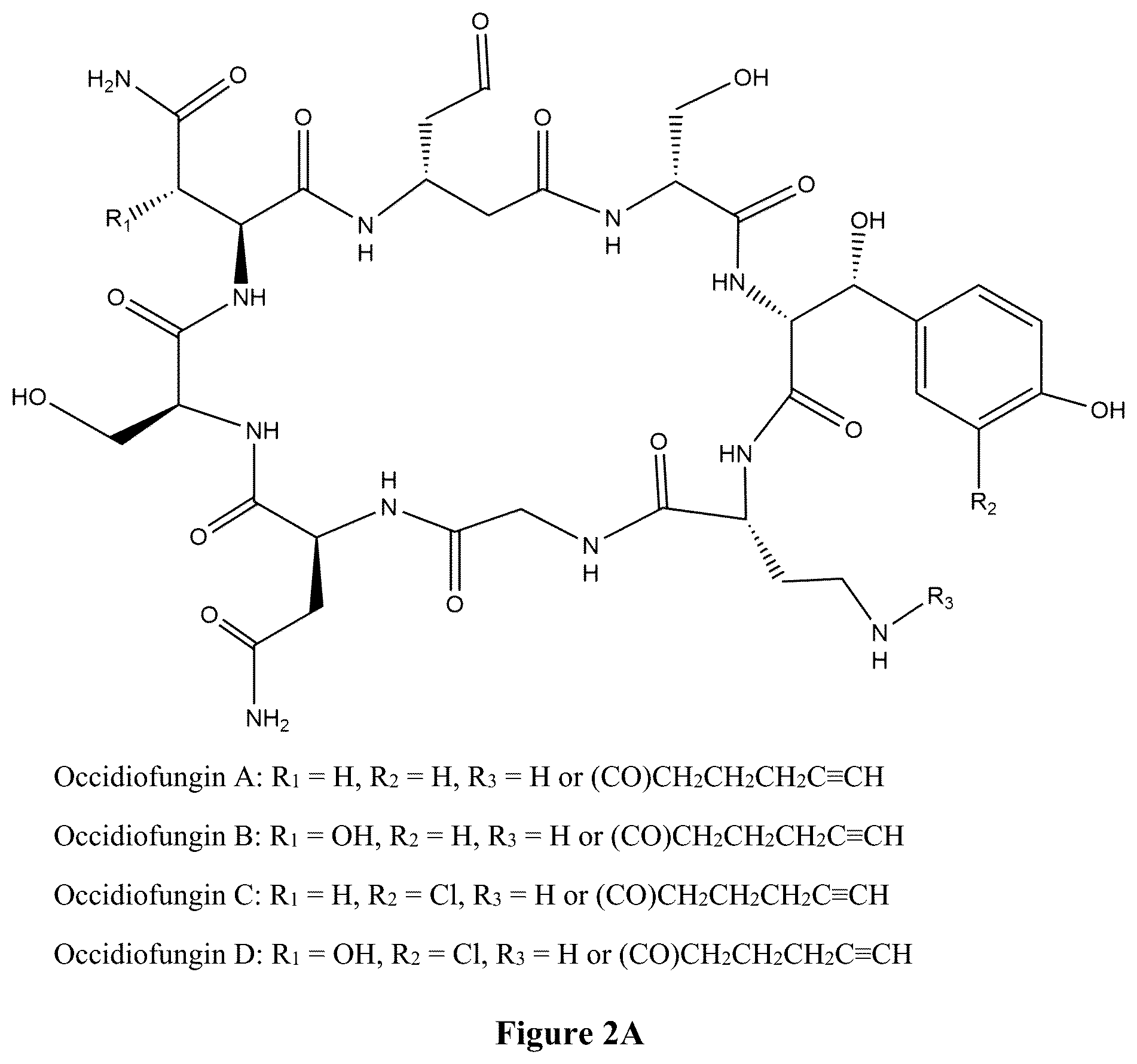 Patent US12102615 Figure 2 – Synthesis of novel xylose free occidiofungin analogues and methods of using them
