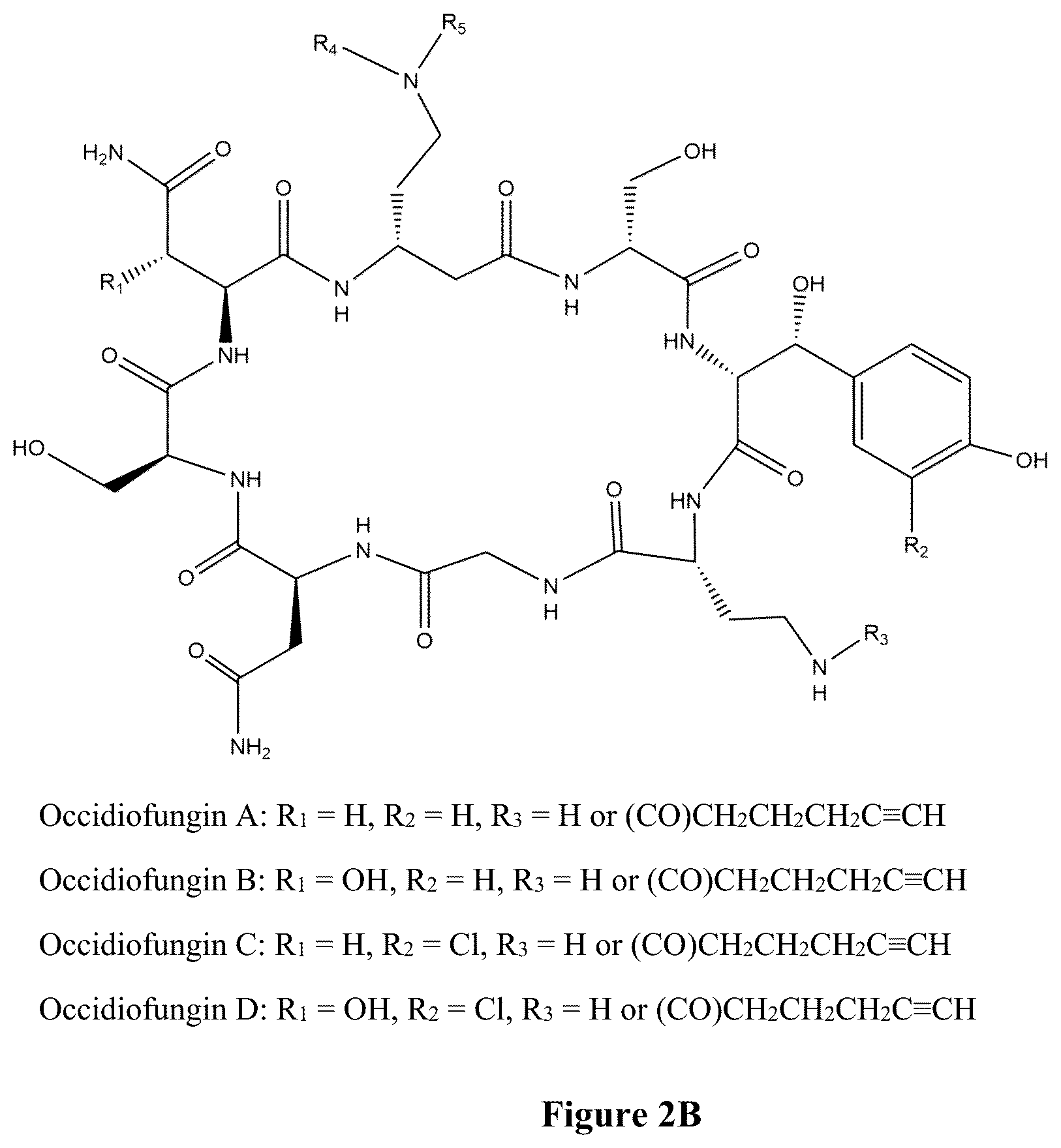 Patent US12102615 Figure 3 – Synthesis of novel xylose free occidiofungin analogues and methods of using them