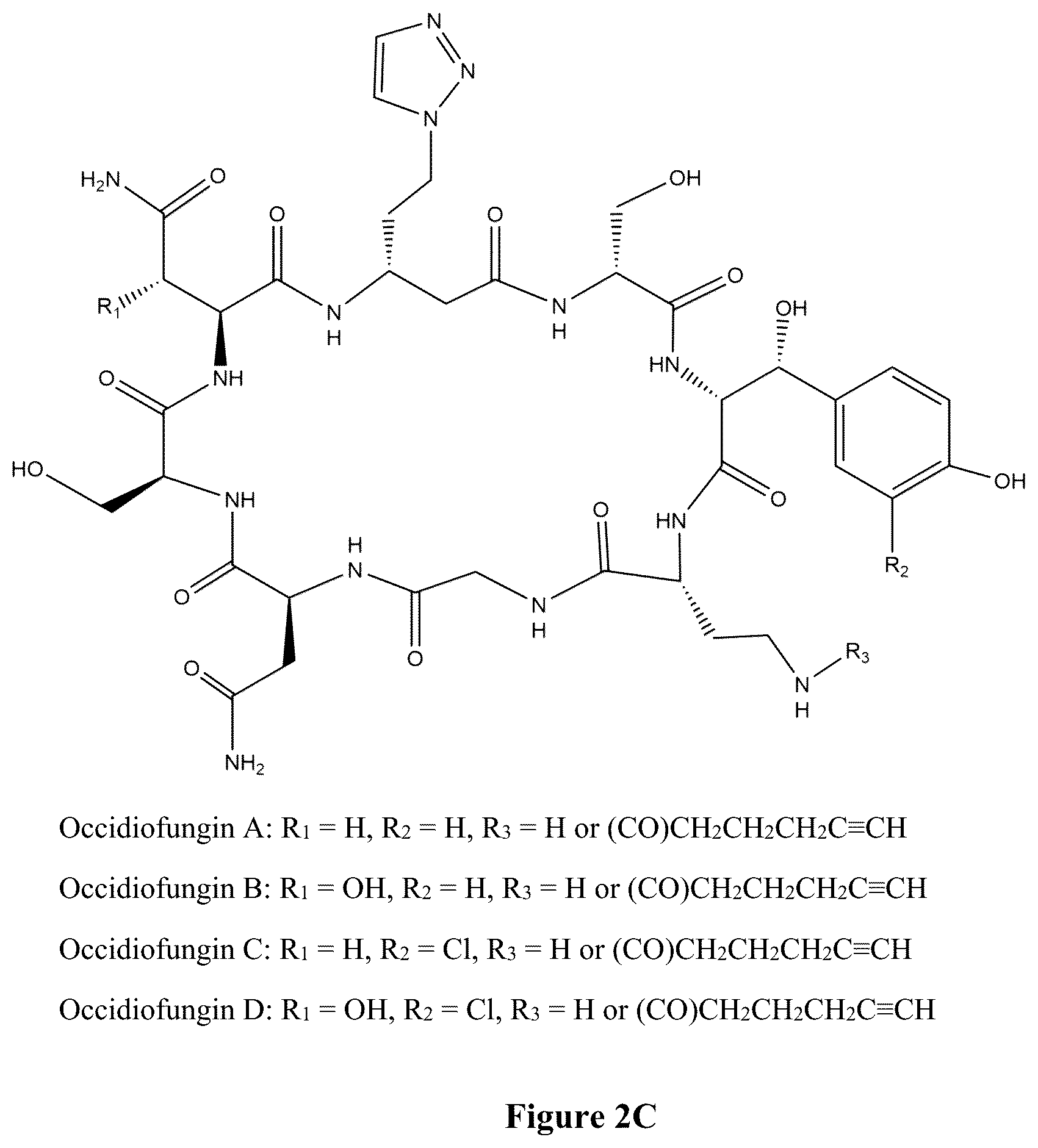 Patent US12102615 Figure 4 – Synthesis of novel xylose free occidiofungin analogues and methods of using them