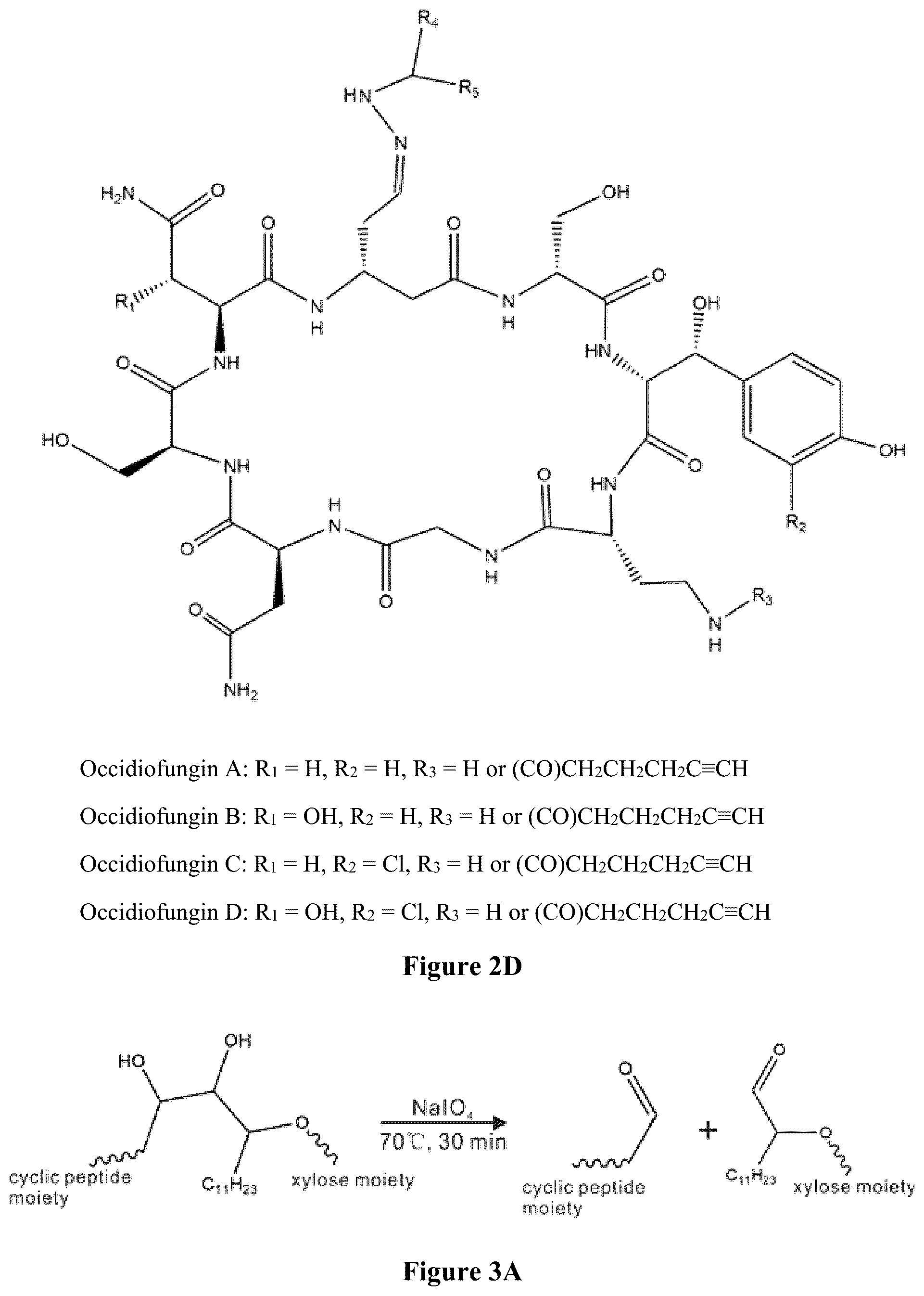 Patent US12102615 Figure 5 – Synthesis of novel xylose free occidiofungin analogues and methods of using them