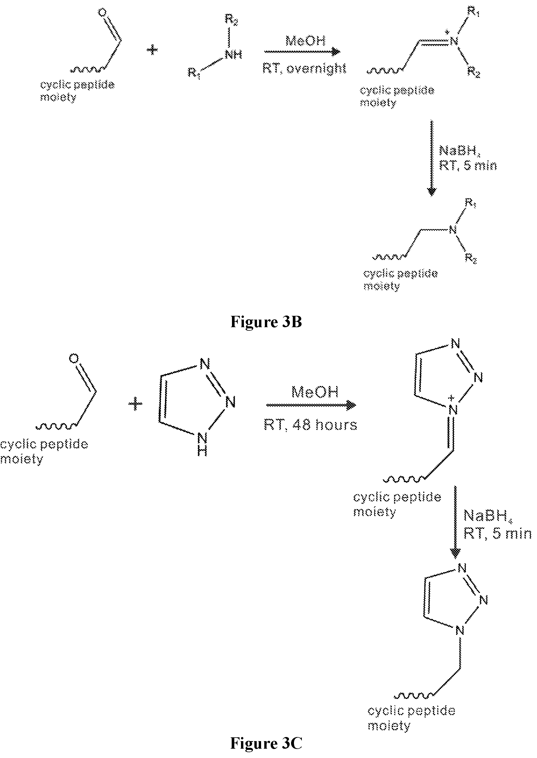 Patent US12102615 Figure 6 – Synthesis of novel xylose free occidiofungin analogues and methods of using them