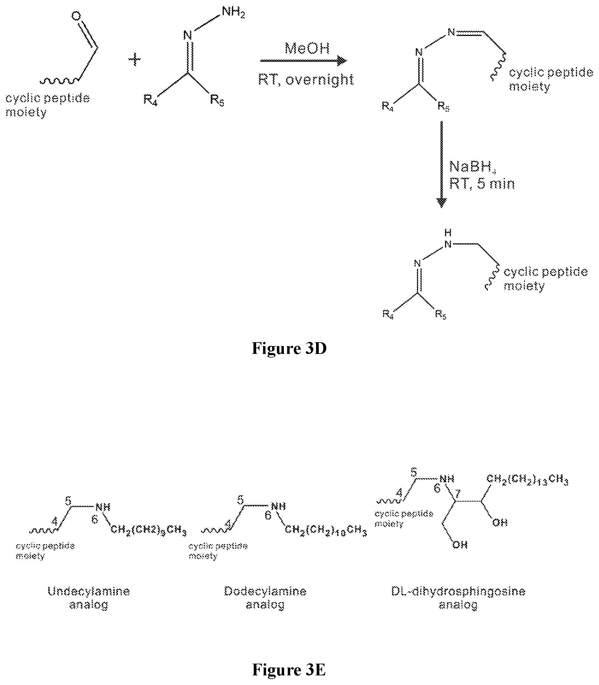 Patent US12102615 Figure 7 – Synthesis of novel xylose free occidiofungin analogues and methods of using them