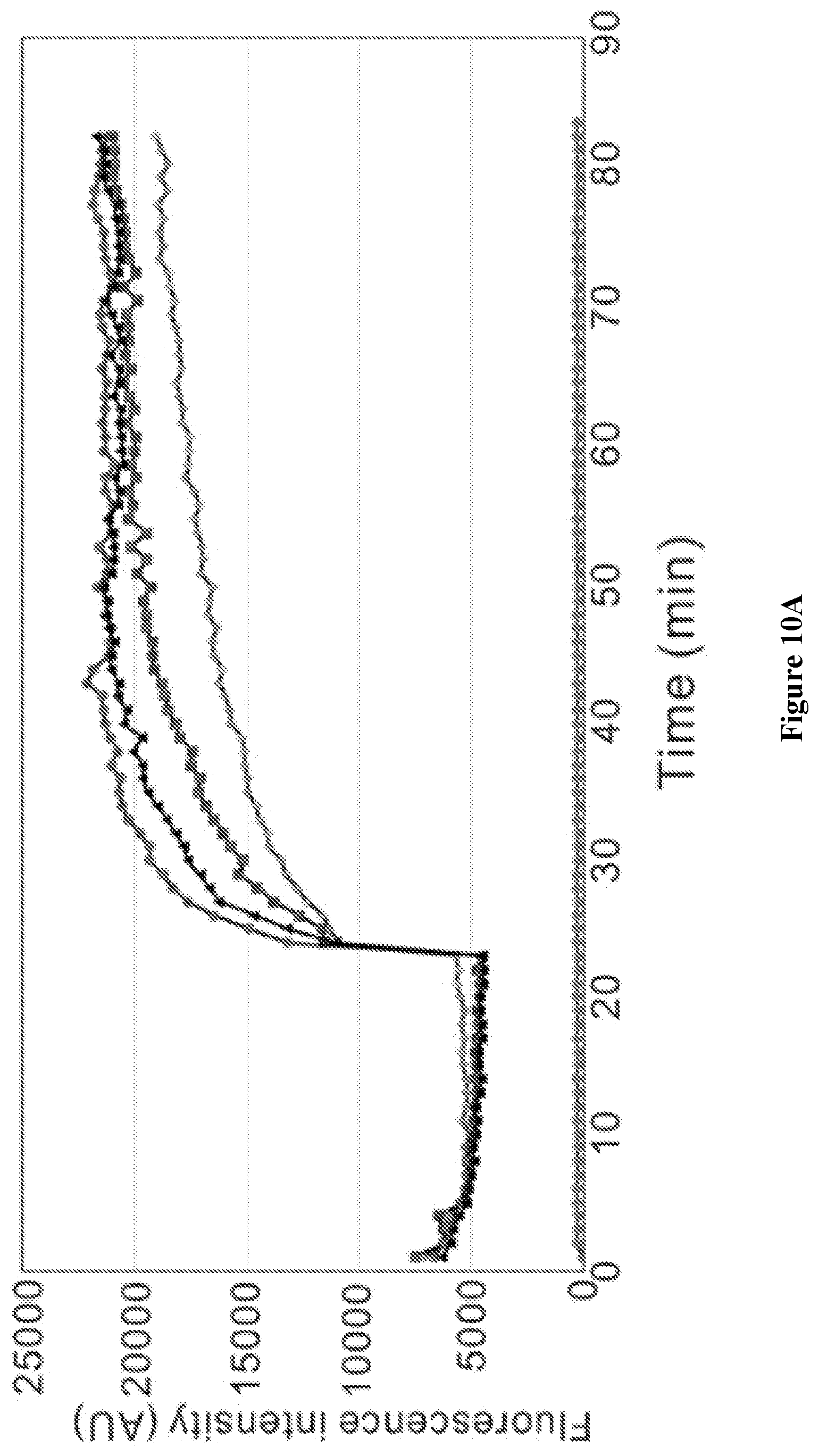 Patent US12102615 Figure 17 – Synthesis of novel xylose free occidiofungin analogues and methods of using them