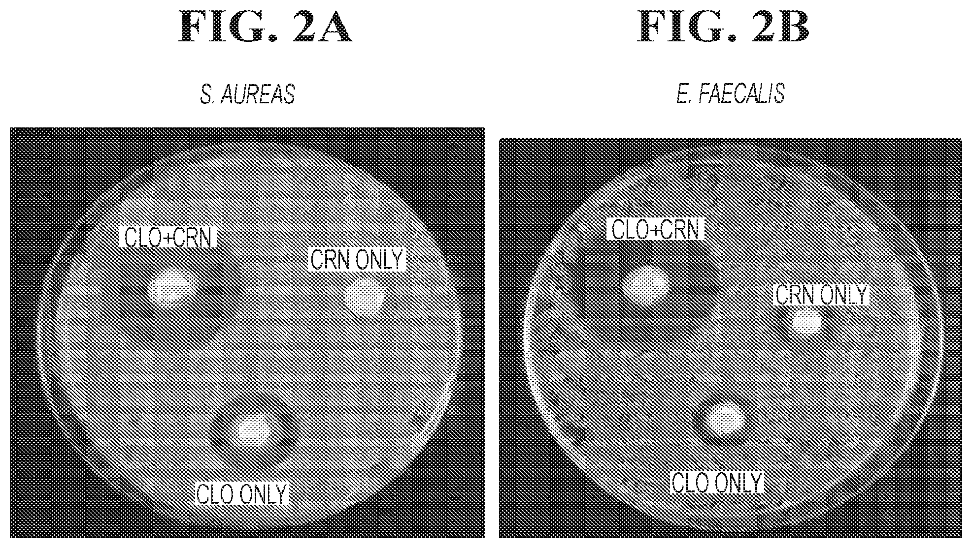 Patent US12102617 Figure 2 – Antimicrobial compositions containing a synergistic combination of activated creatinine and an imidazole antifungal agent