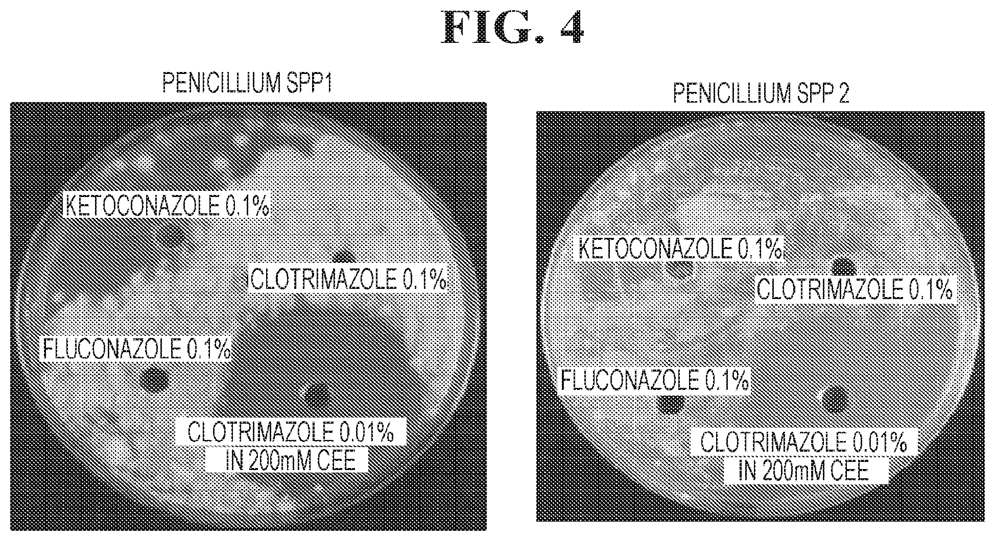 Patent US12102617 Figure 4 – Antimicrobial compositions containing a synergistic combination of activated creatinine and an imidazole antifungal agent