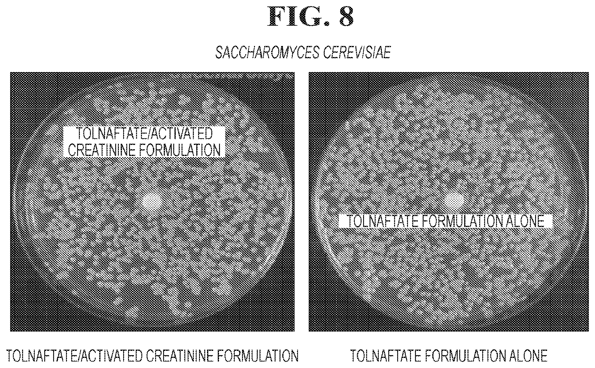 Patent US12102617 Figure 8 – Antimicrobial compositions containing a synergistic combination of activated creatinine and an imidazole antifungal agent