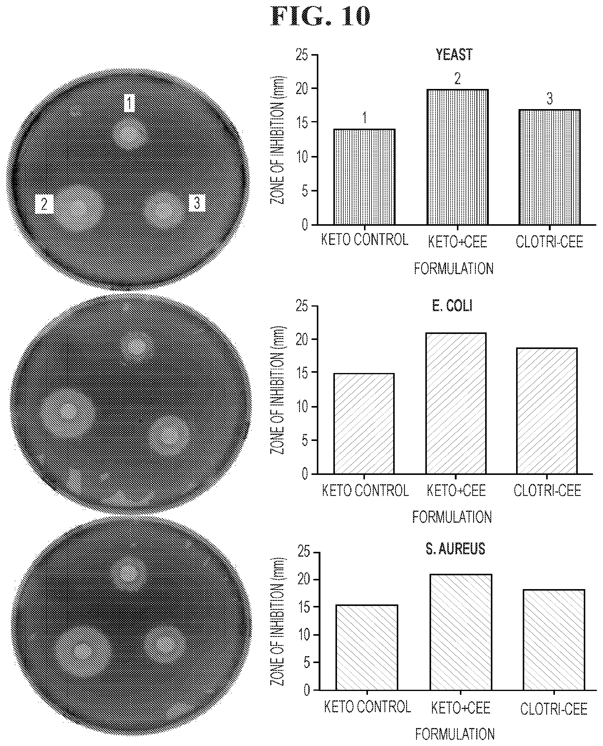 Patent US12102617 Figure 10 – Antimicrobial compositions containing a synergistic combination of activated creatinine and an imidazole antifungal agent