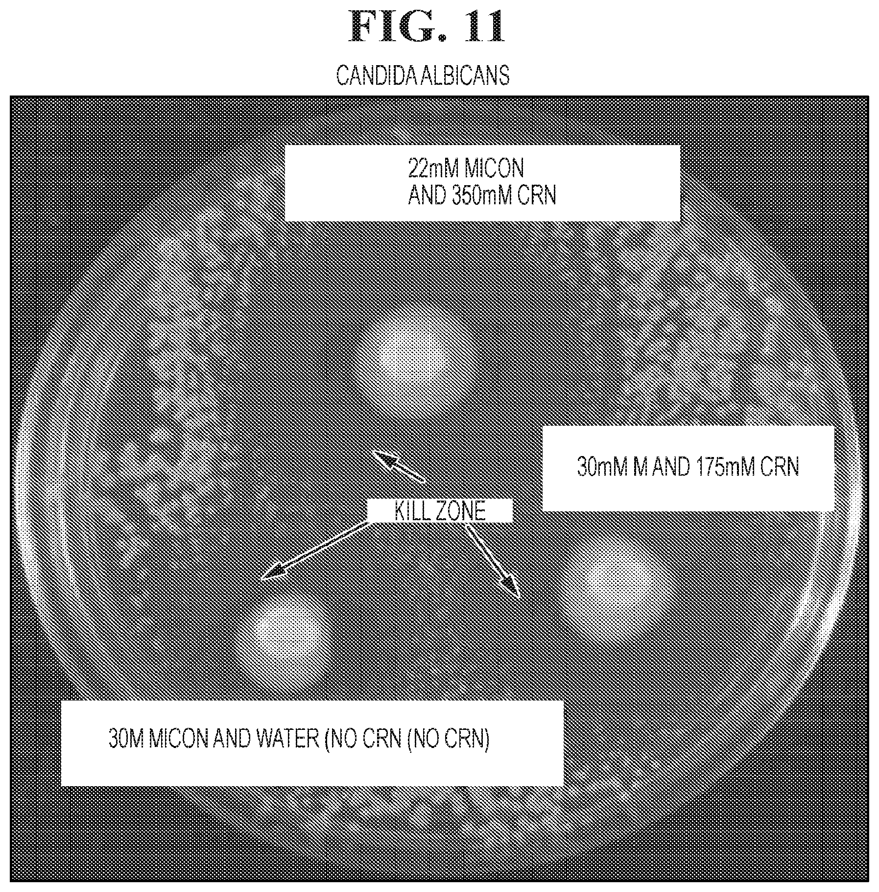 Patent US12102617 Figure 11 – Antimicrobial compositions containing a synergistic combination of activated creatinine and an imidazole antifungal agent
