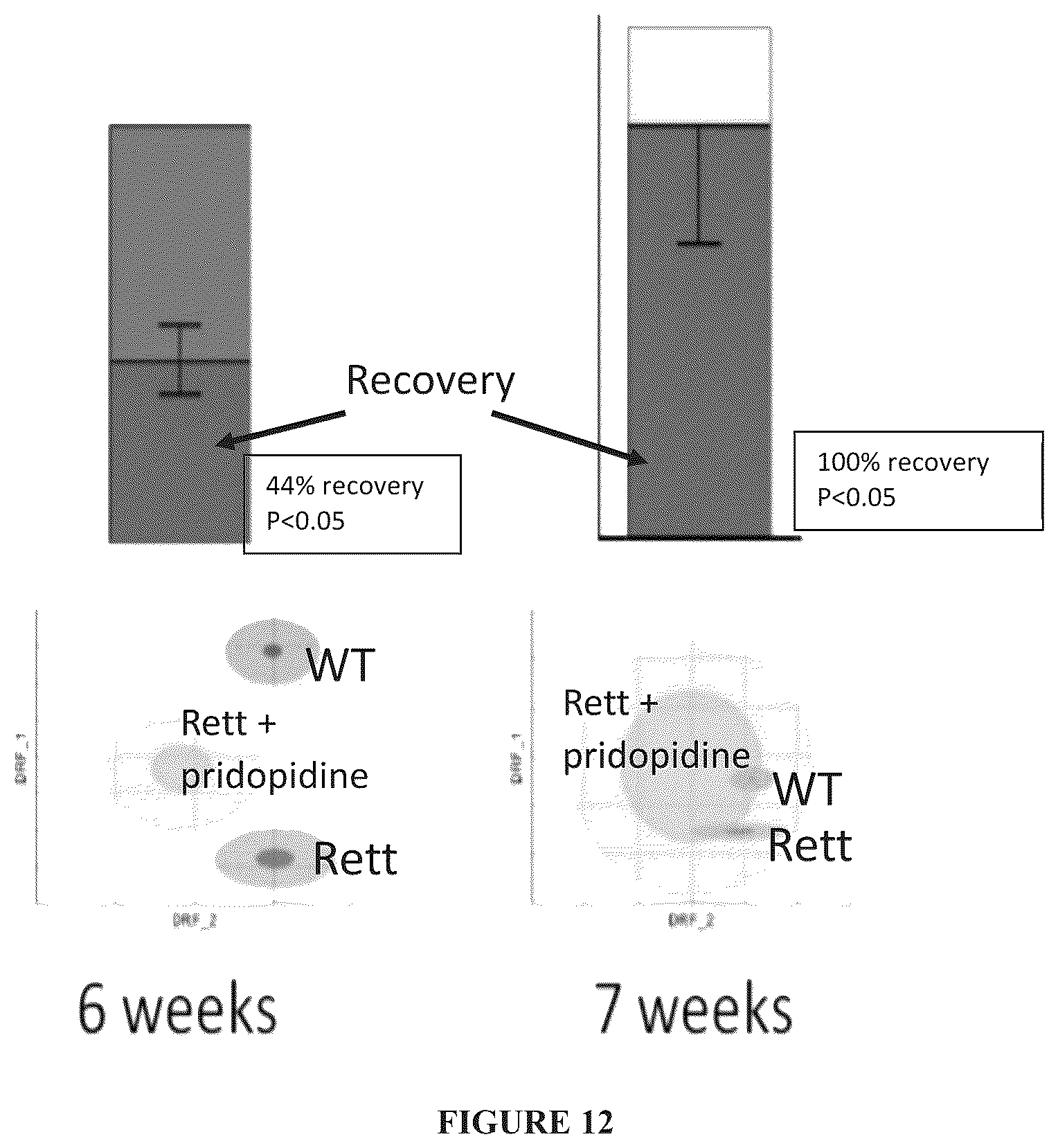 Patent US12102627 Figure 10 – Use of pridopidine for treating rett syndrome
