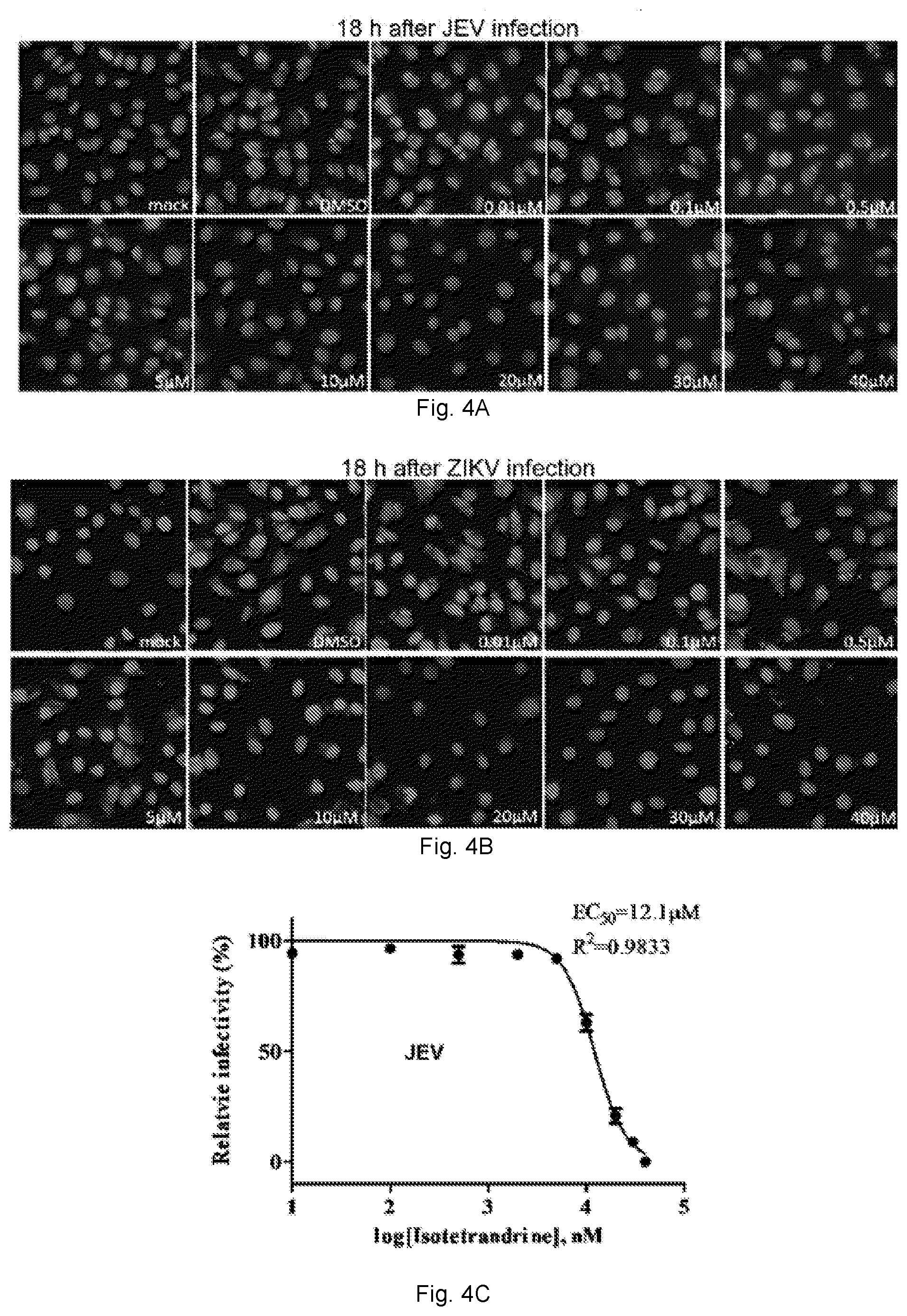 Patent US12102634 Figure 8 – Use of berbamine or its analogue for preventing or treating RNA virus infection