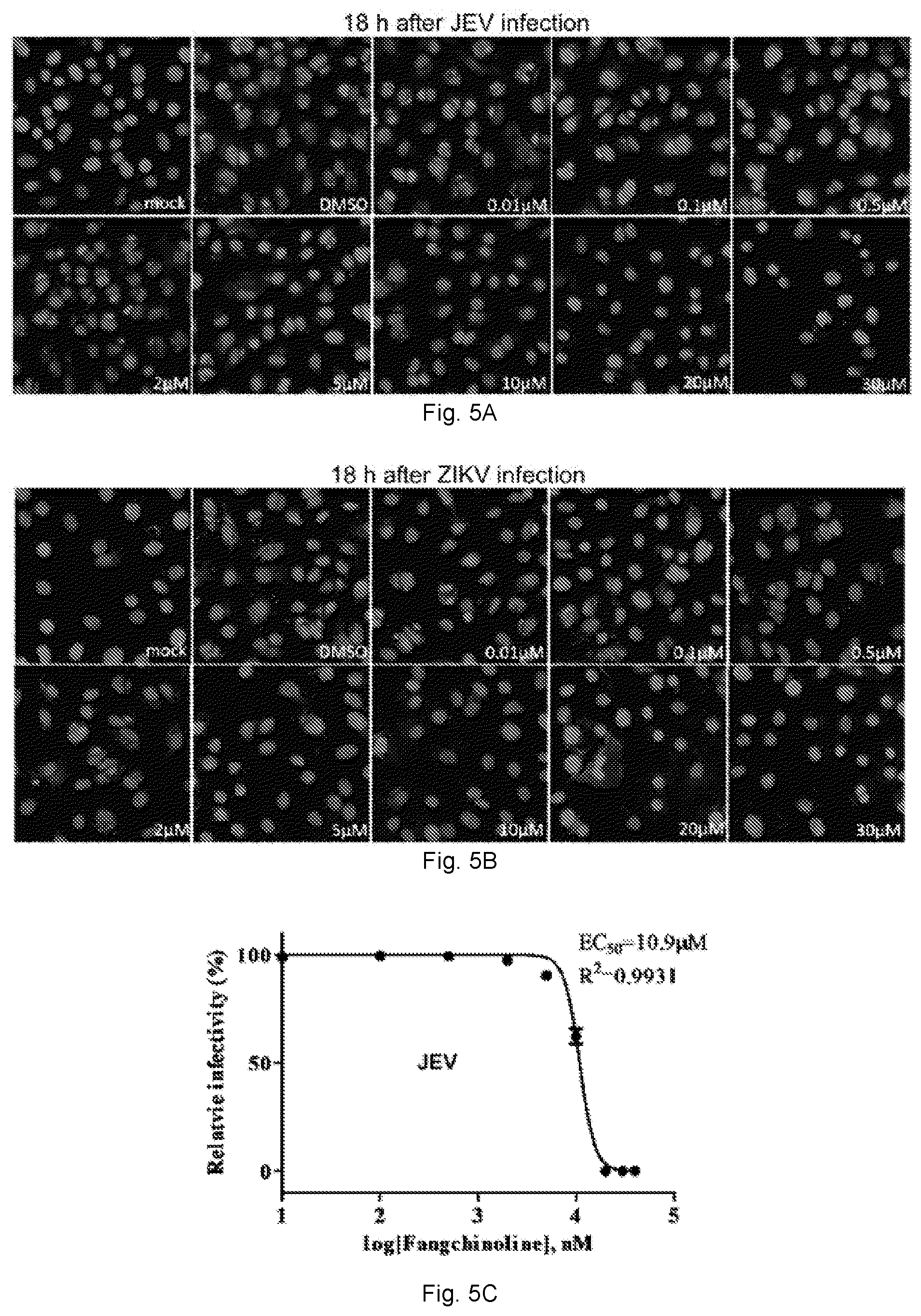 Patent US12102634 Figure 9 – Use of berbamine or its analogue for preventing or treating RNA virus infection
