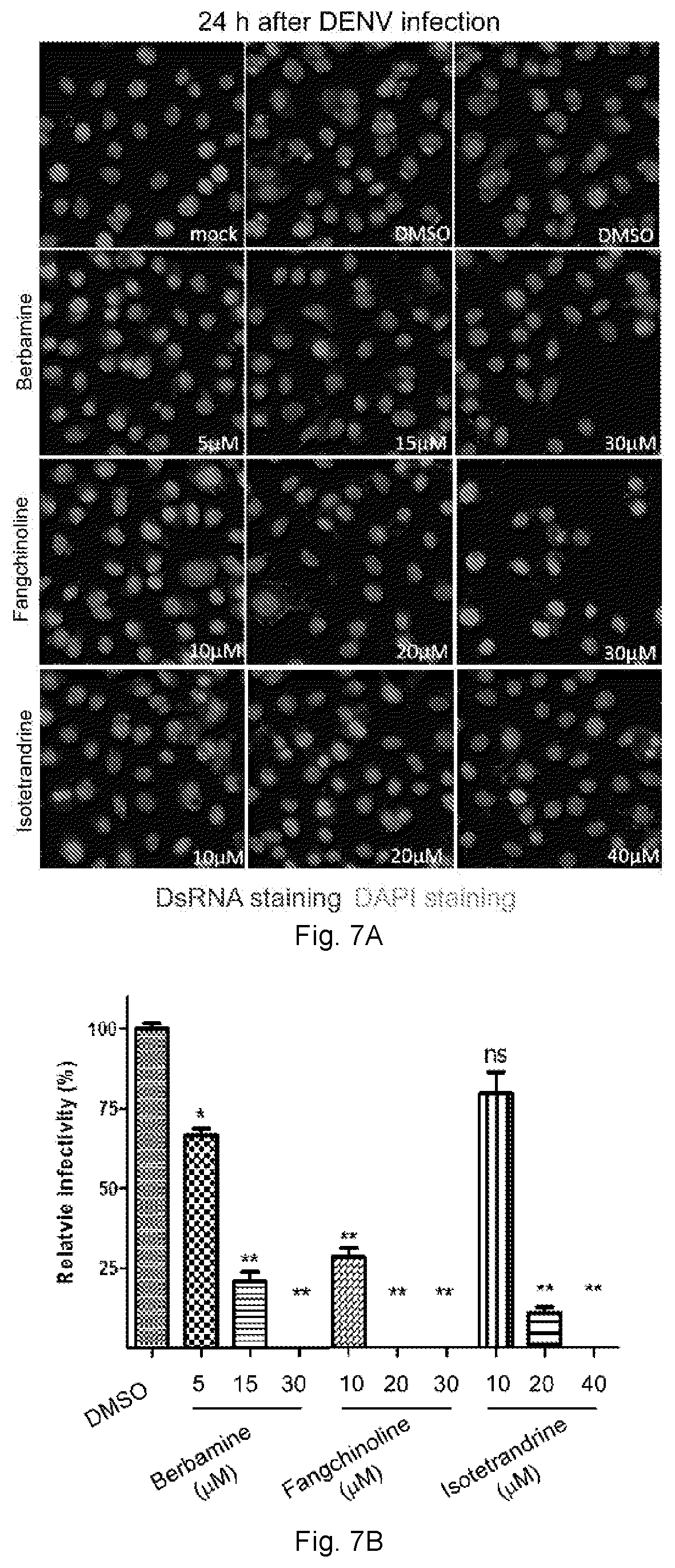 Patent US12102634 Figure 11 – Use of berbamine or its analogue for preventing or treating RNA virus infection
