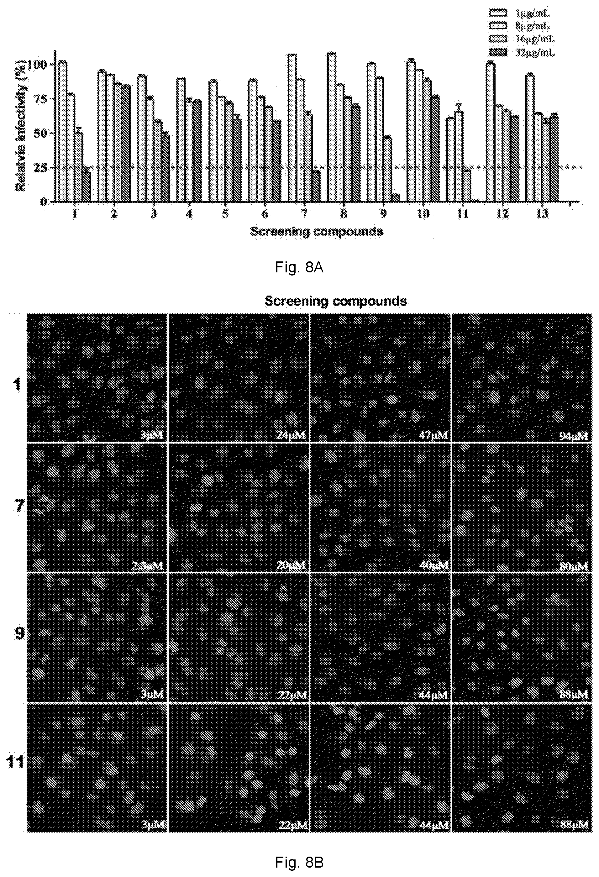 Patent US12102634 Figure 12 – Use of berbamine or its analogue for preventing or treating RNA virus infection