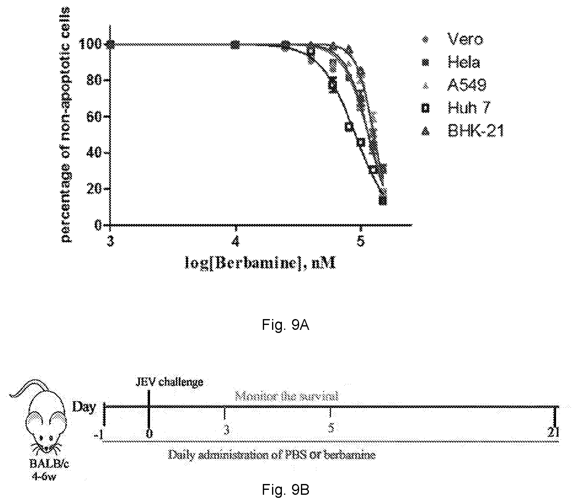 Patent US12102634 Figure 13 – Use of berbamine or its analogue for preventing or treating RNA virus infection