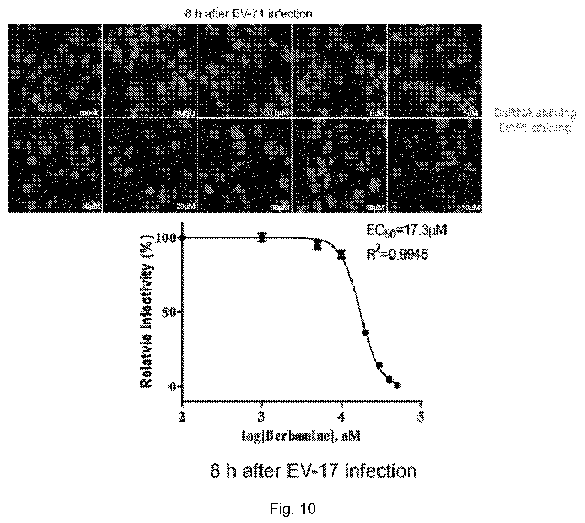 Patent US12102634 Figure 15 – Use of berbamine or its analogue for preventing or treating RNA virus infection