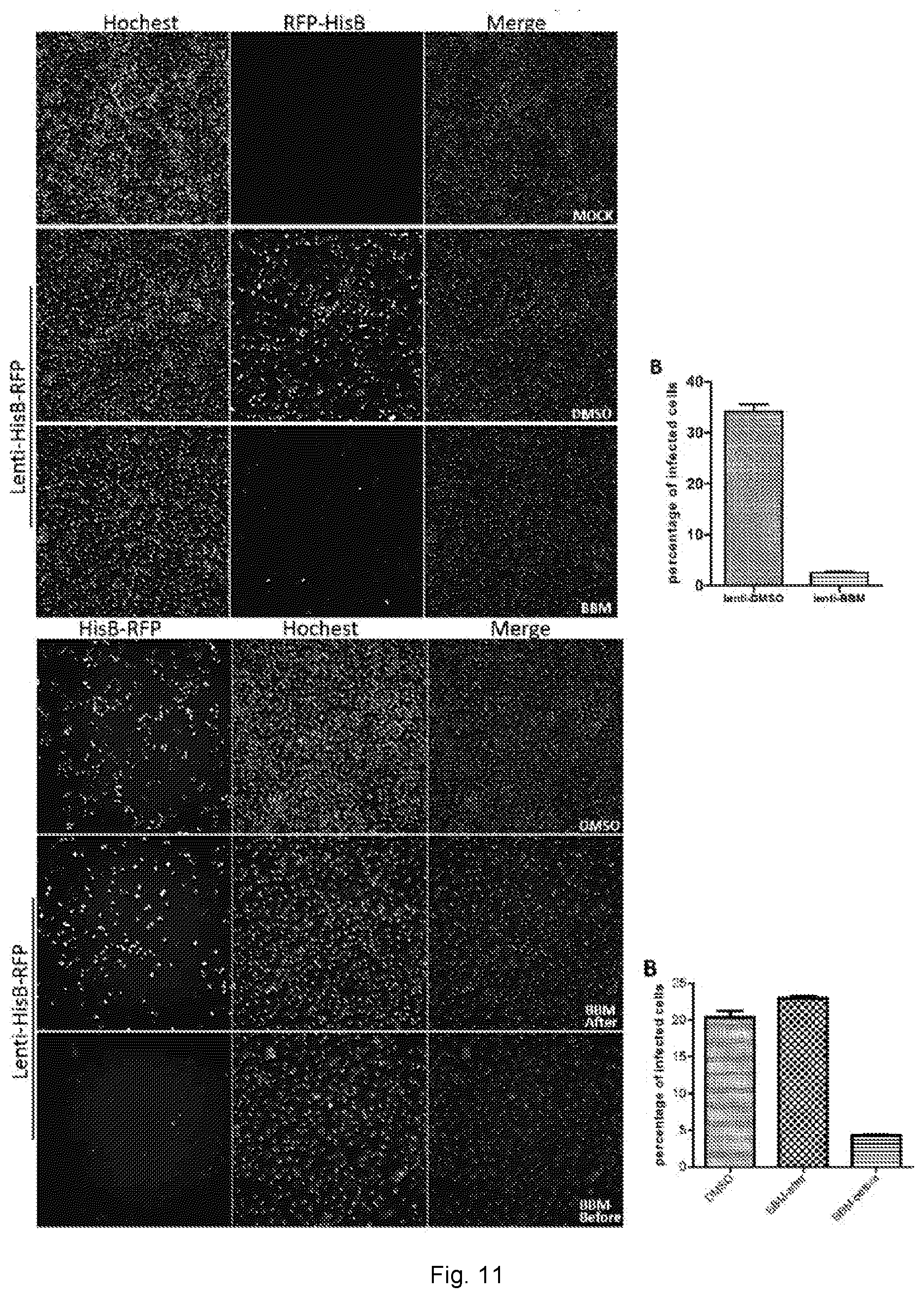Patent US12102634 Figure 16 – Use of berbamine or its analogue for preventing or treating RNA virus infection
