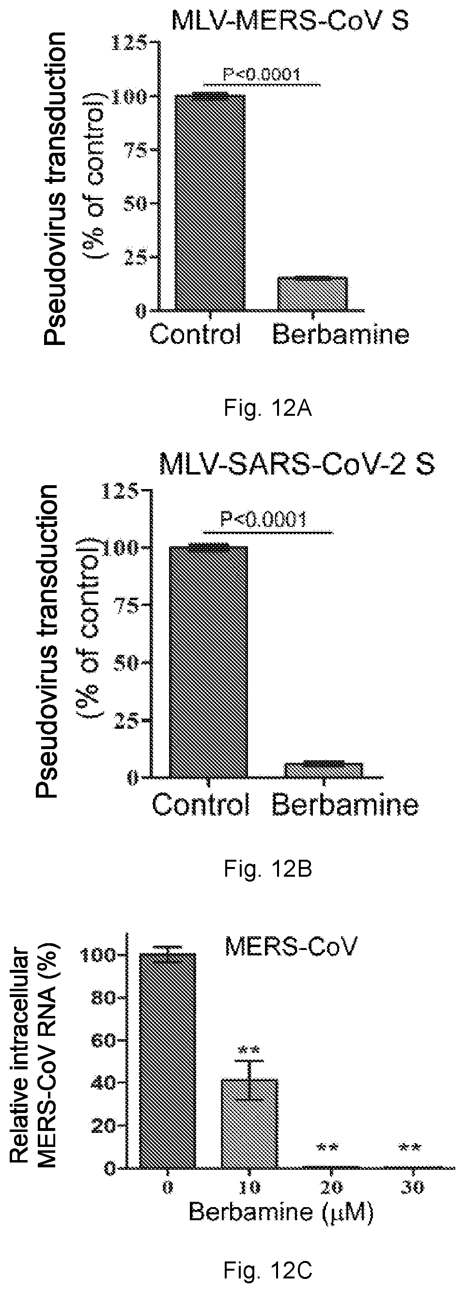 Patent US12102634 Figure 17 – Use of berbamine or its analogue for preventing or treating RNA virus infection