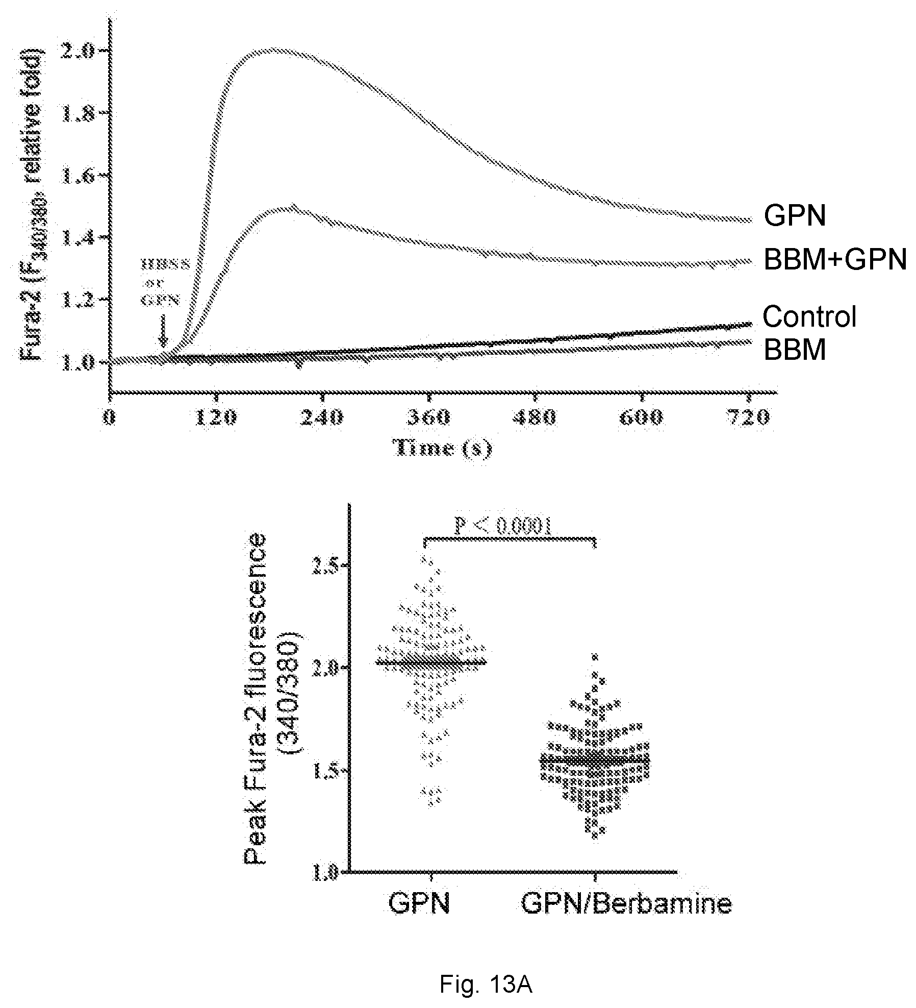 Patent US12102634 Figure 19 – Use of berbamine or its analogue for preventing or treating RNA virus infection