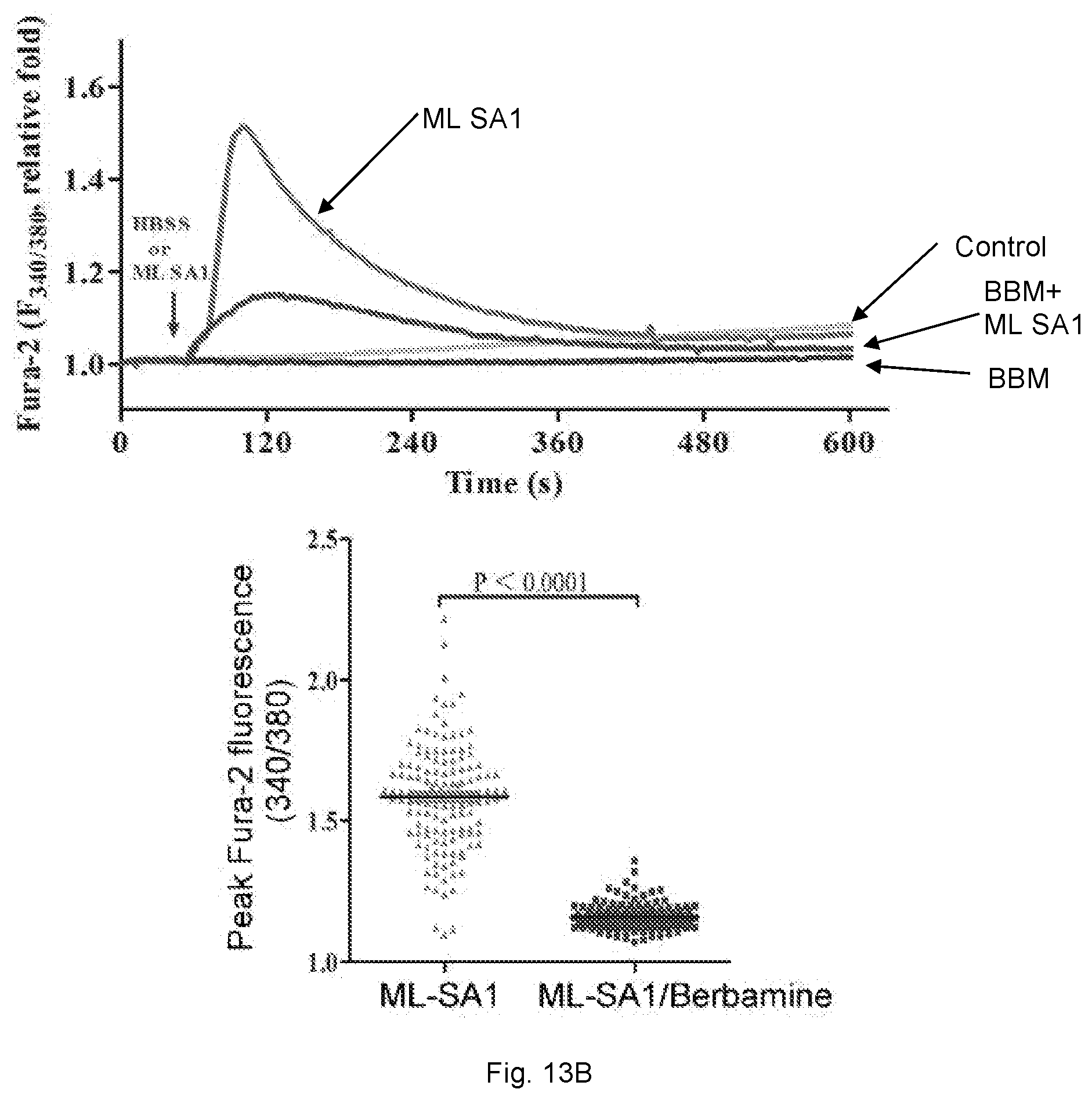 Patent US12102634 Figure 20 – Use of berbamine or its analogue for preventing or treating RNA virus infection