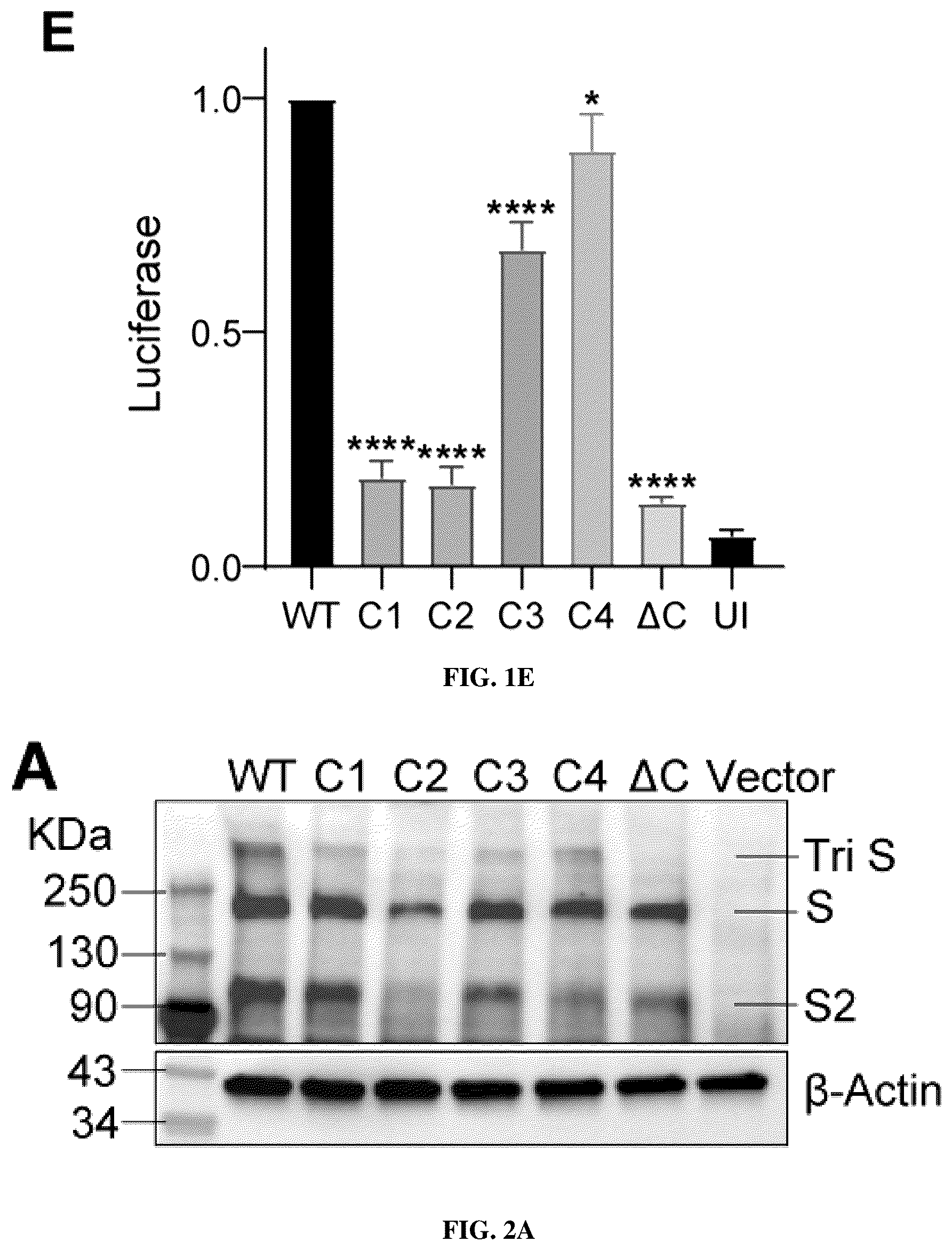 Patent US12102635 Figure 3 – Methods of using protein palmitoylations inhibitors