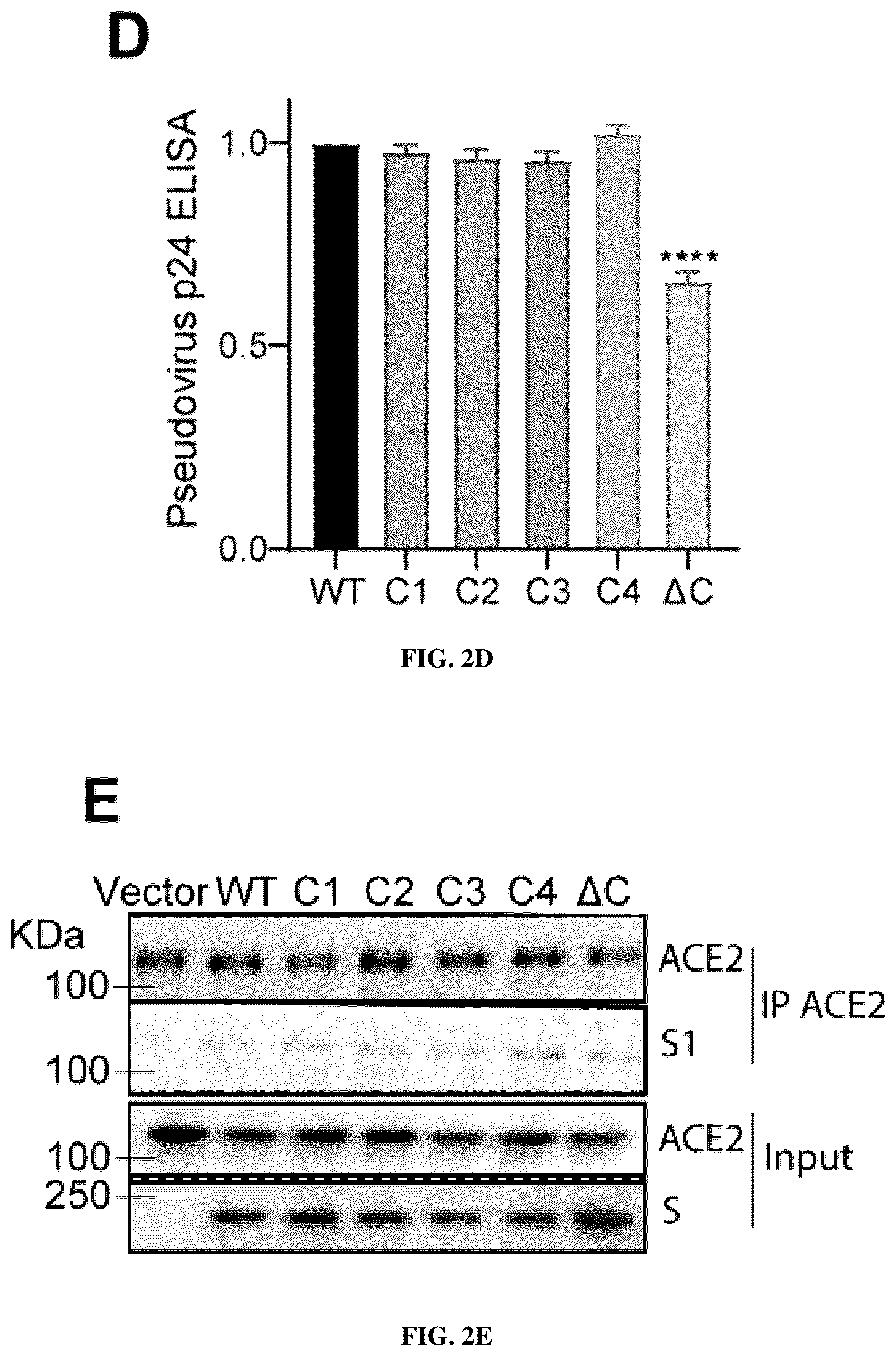 Patent US12102635 Figure 6 – Methods of using protein palmitoylations inhibitors