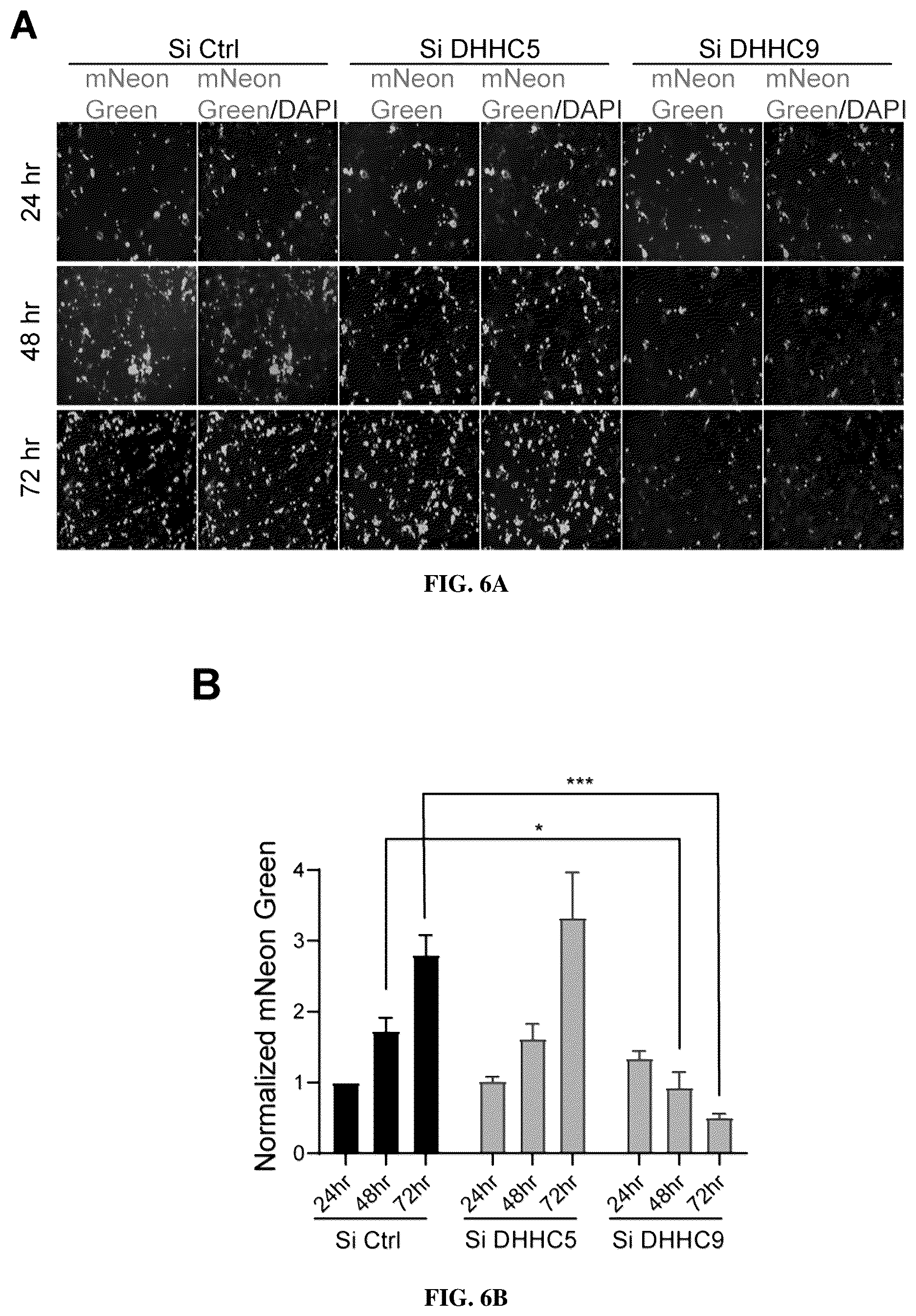Patent US12102635 Figure 18 – Methods of using protein palmitoylations inhibitors