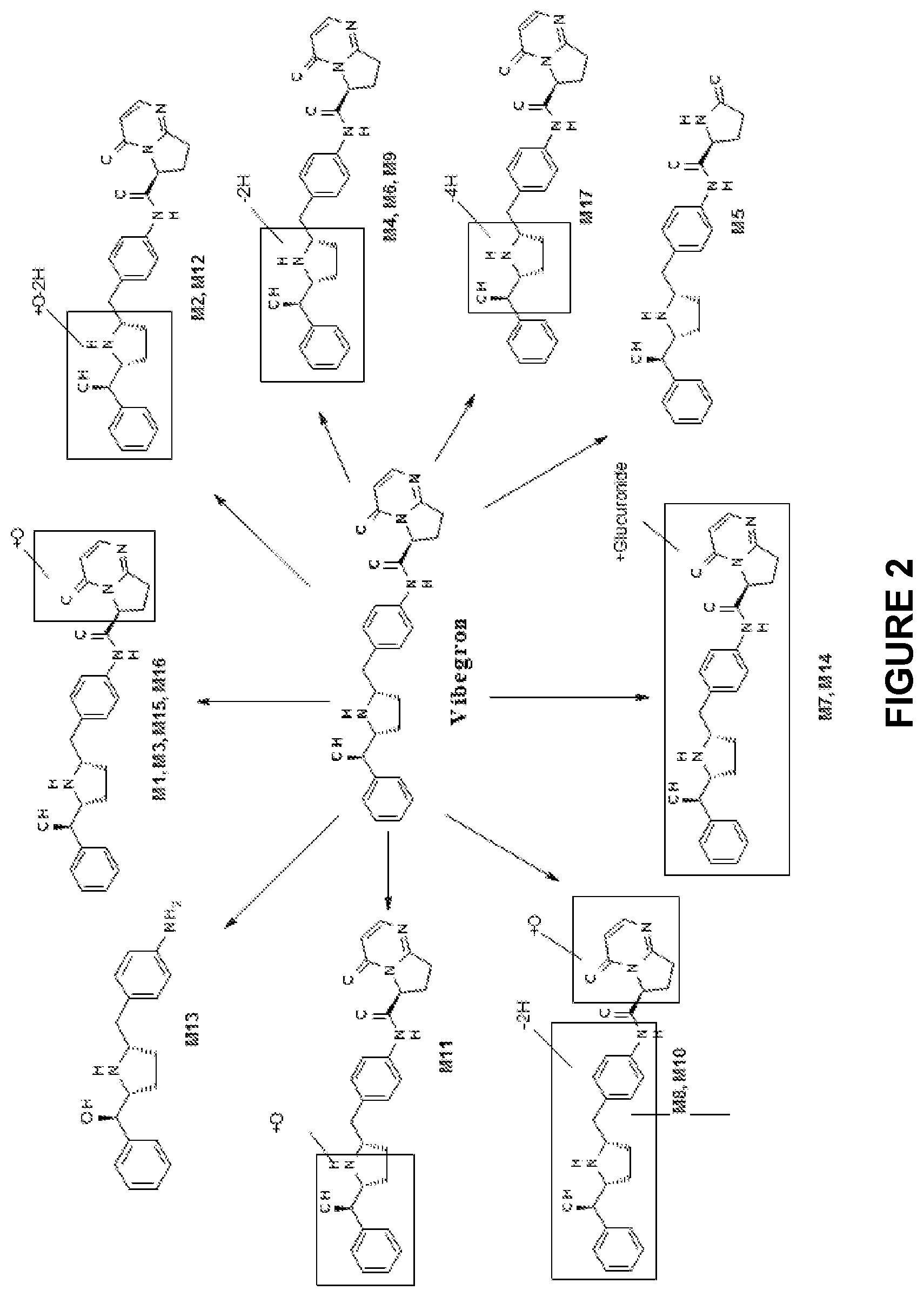 Patent US12102638 Figure 2 – Use of vibegron to treat overactive bladder