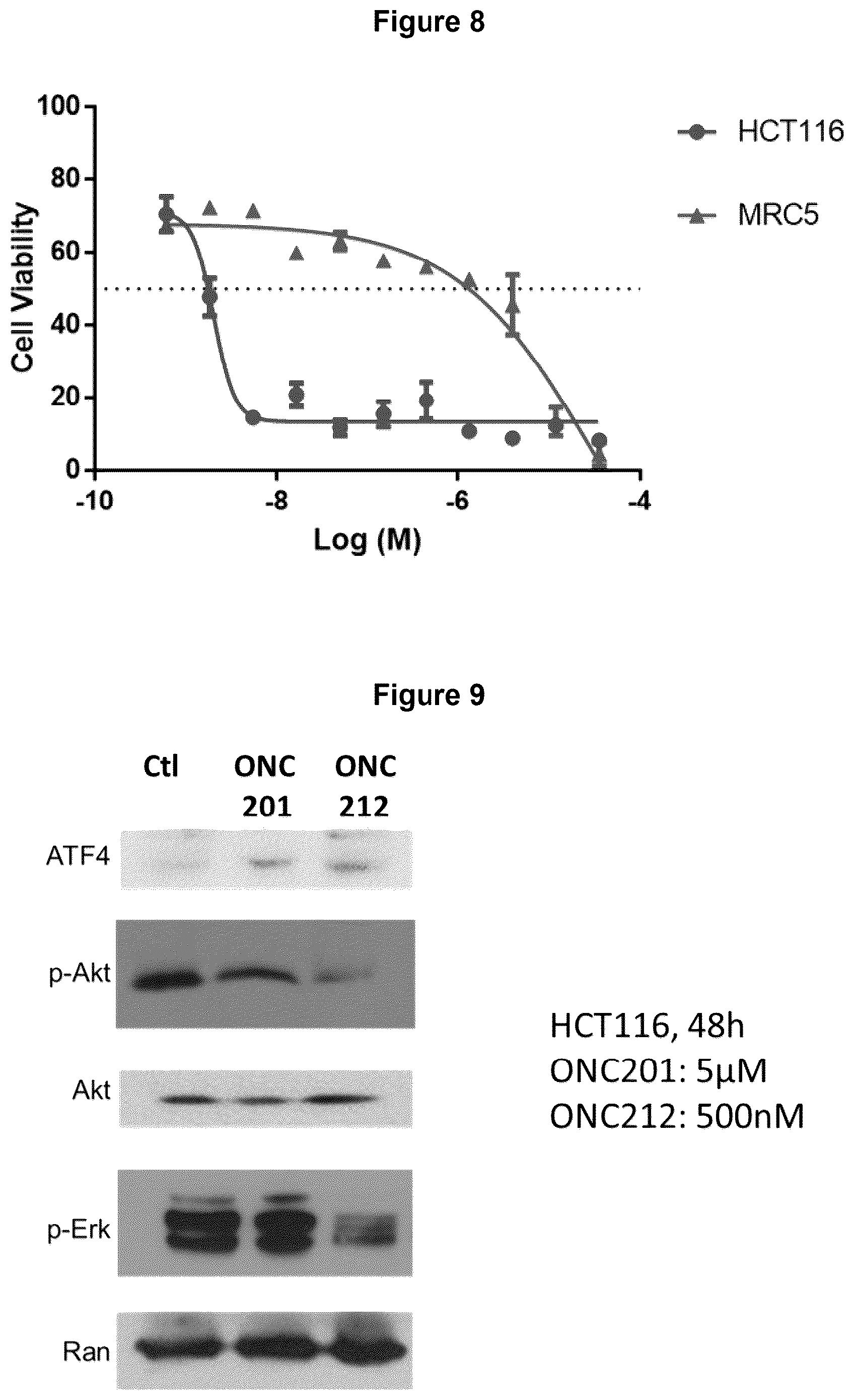 Patent US12102639 Figure 8 – Imipridones for gliomas