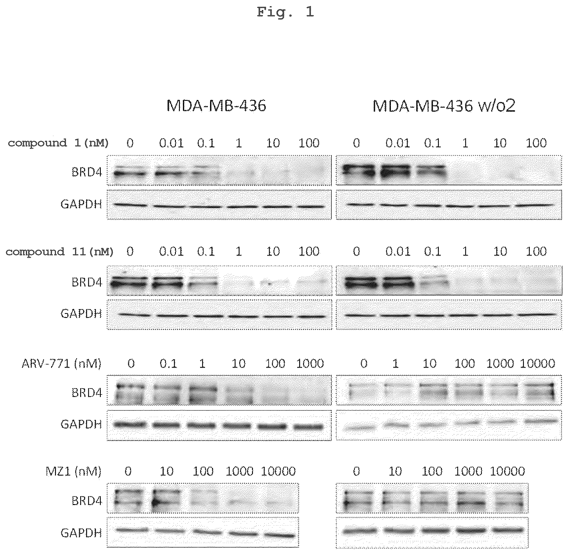 Patent US12102641 Figure 1 – Sulfonamide or sulfinamide compound having effect of inducing BRD4 protein degradation and pharmaceutical use thereof