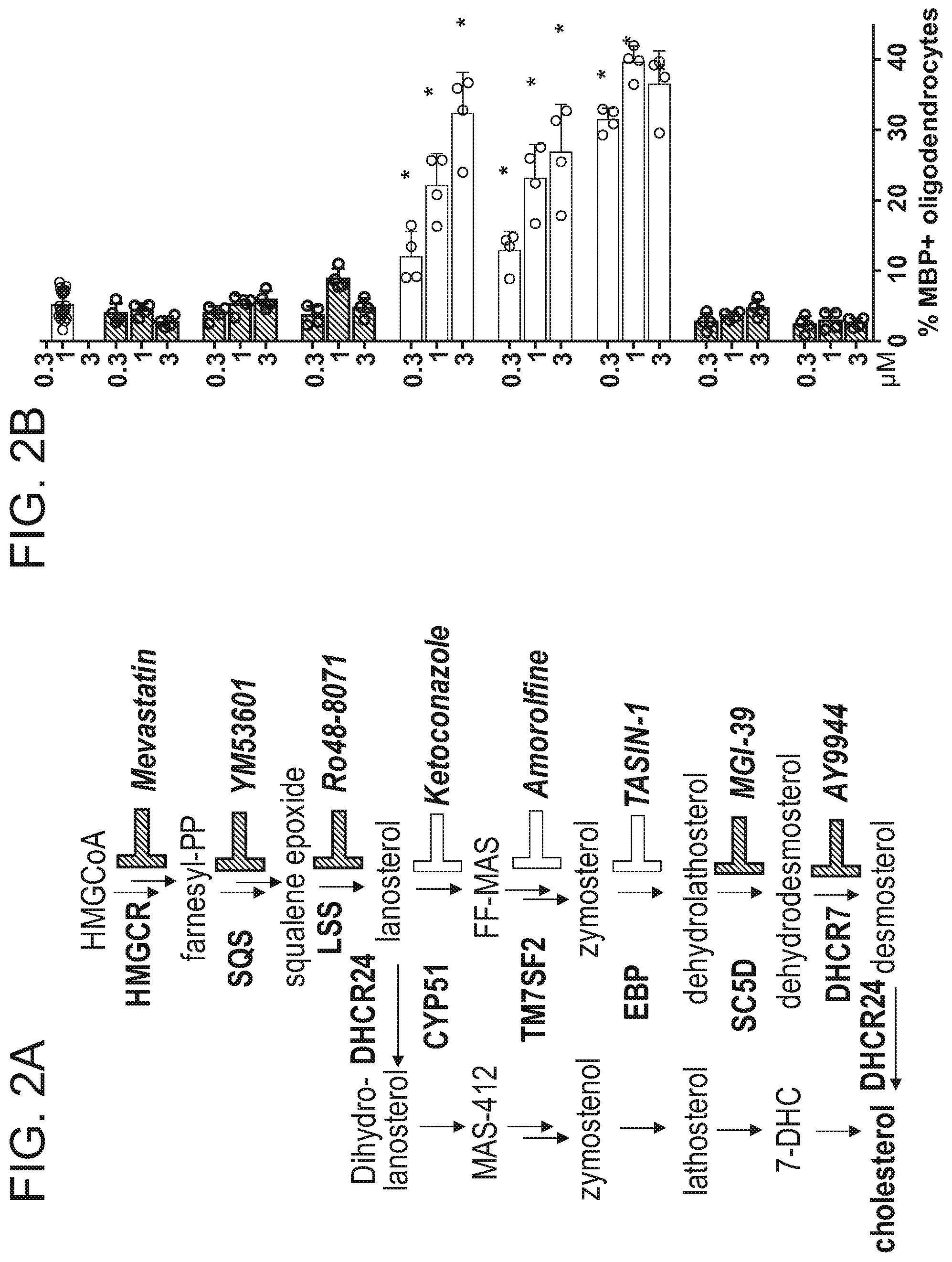 Patent US12102644 Figure 8 – Compounds and methods of promoting myelination